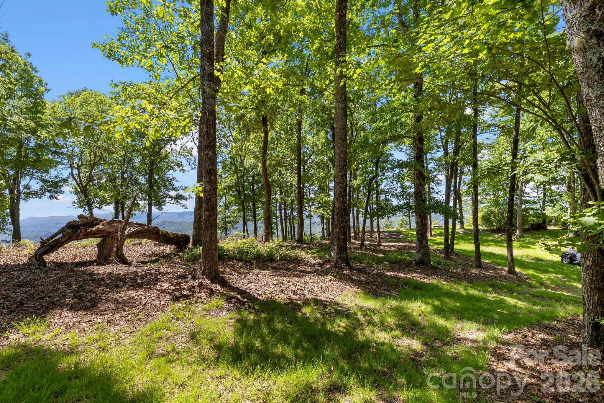 Mature hardwoods frame picturesque views of the surrounding mountains, combining privacy with scenic vistas. - 9999 Rocky Mountain Road, Lake Toxaway