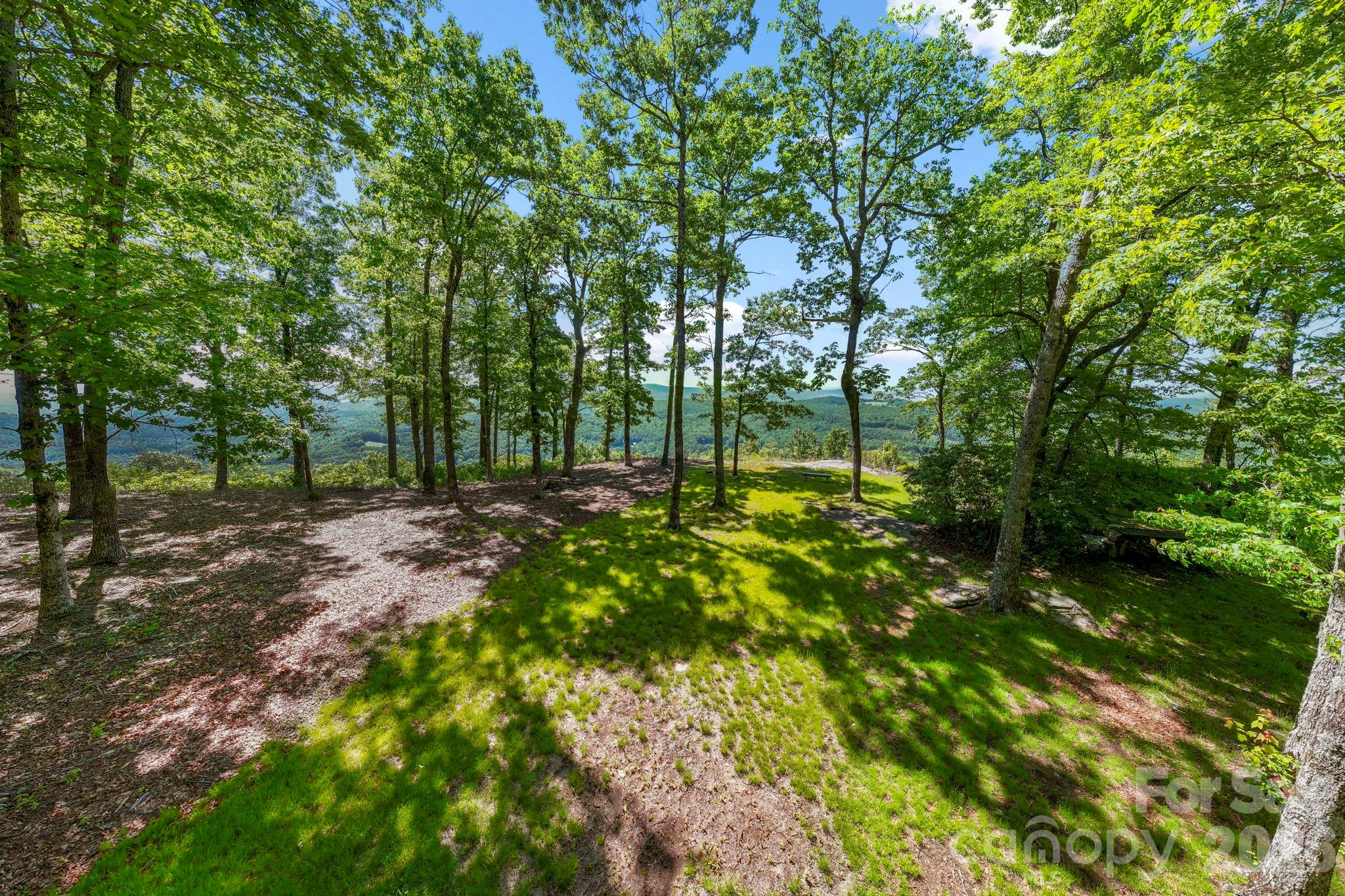 The thoughtfully cleared building area is nestled among mature hardwoods, providing privacy, natural shade, and picturesque mountain surroundings. - 9999 Rocky Mountain Road, Lake Toxaway
