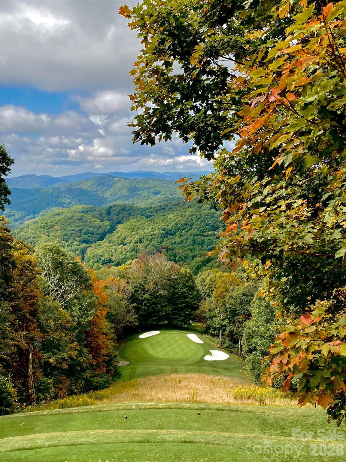 WLCC Signature Hole - 201 Hampton Gap Drive, Mars Hill