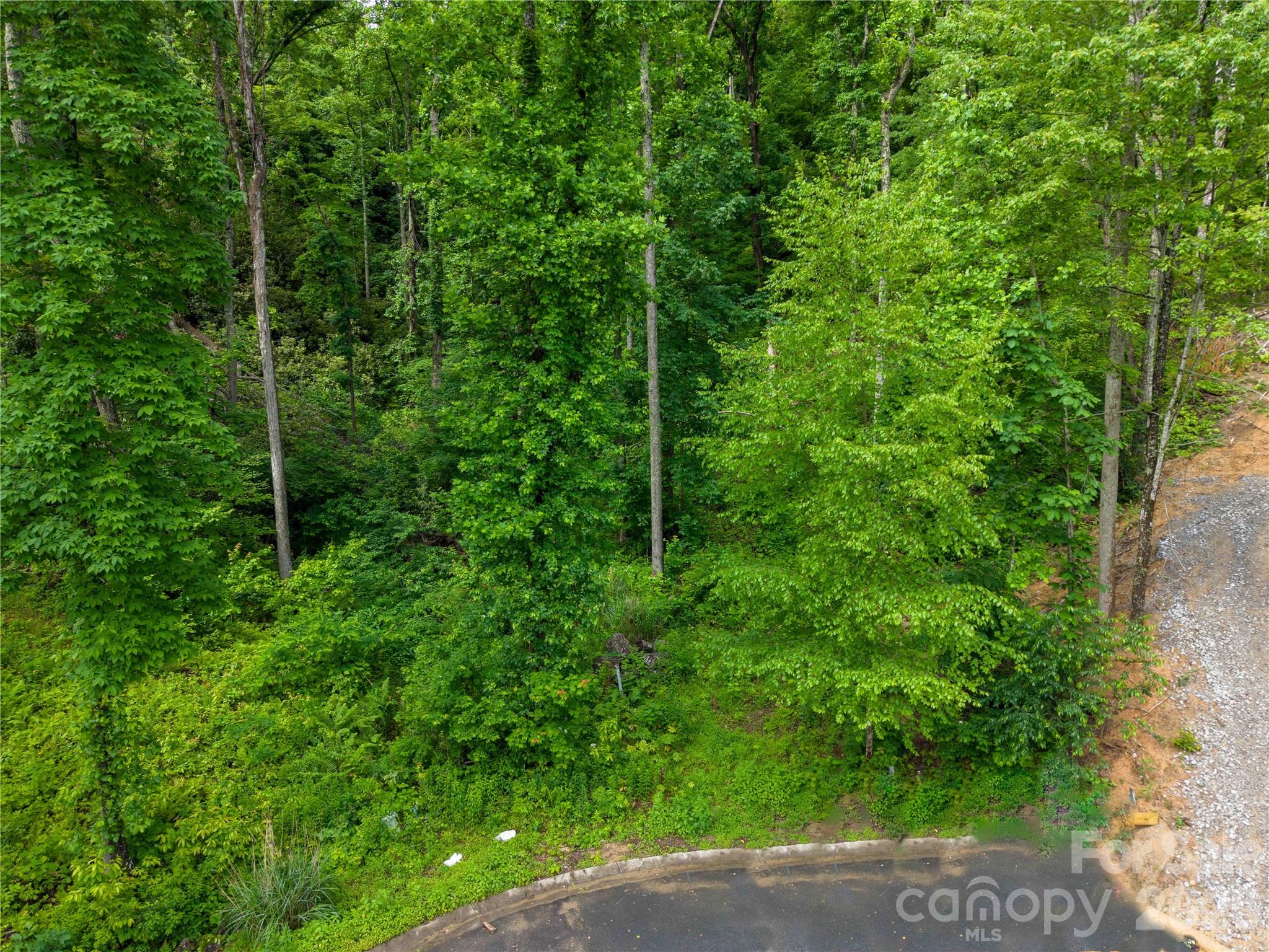 Lot at 334 Carriage Crest Drive, Hendersonville, photo 2 of 14