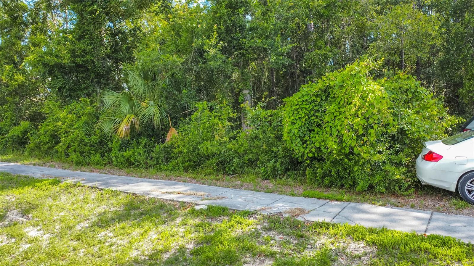 Land at 4176 W GULF TO LAKE HWY, LECANTO