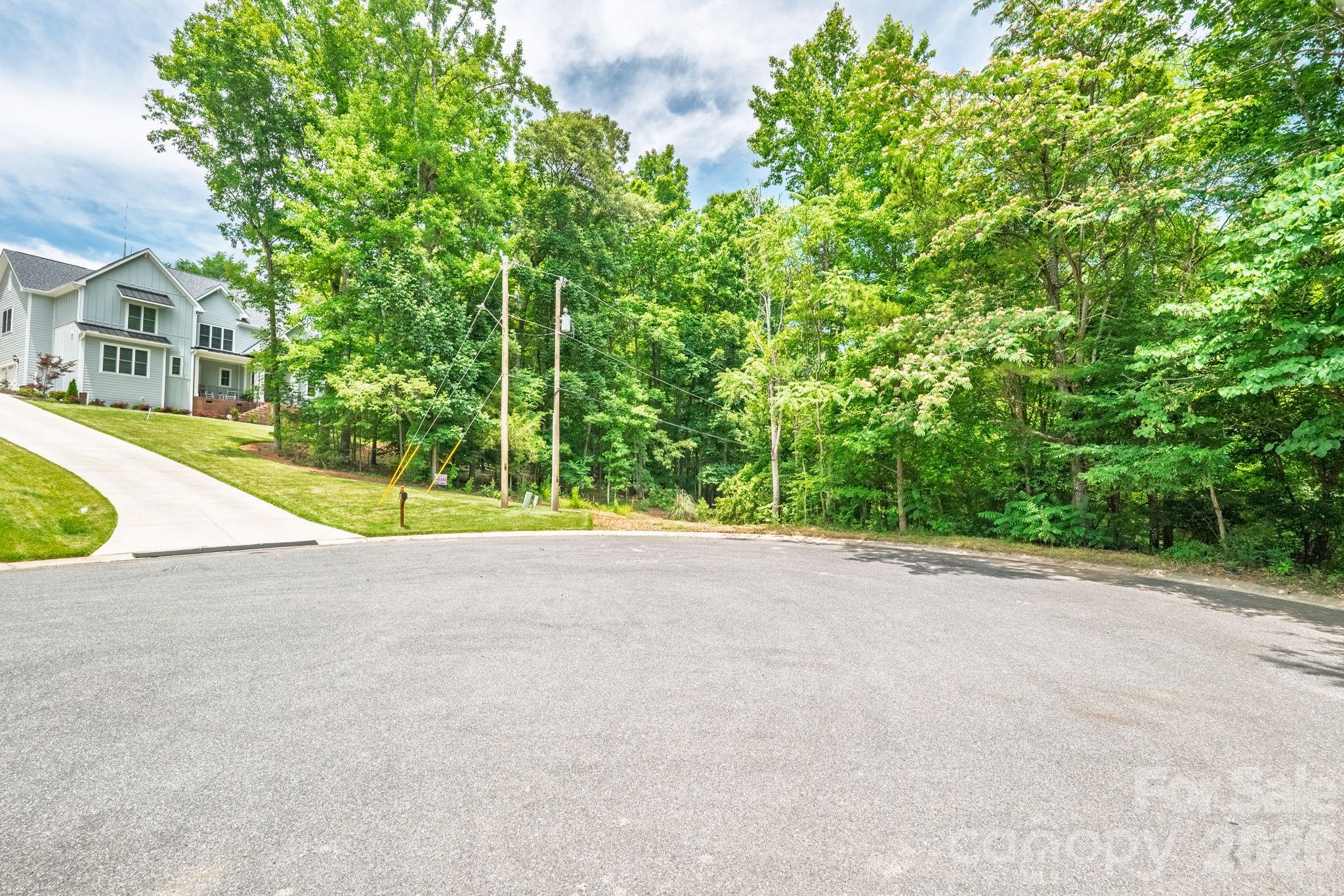 Lot at 229 Ballard Court, Fort Mill, photo 3 of 39
