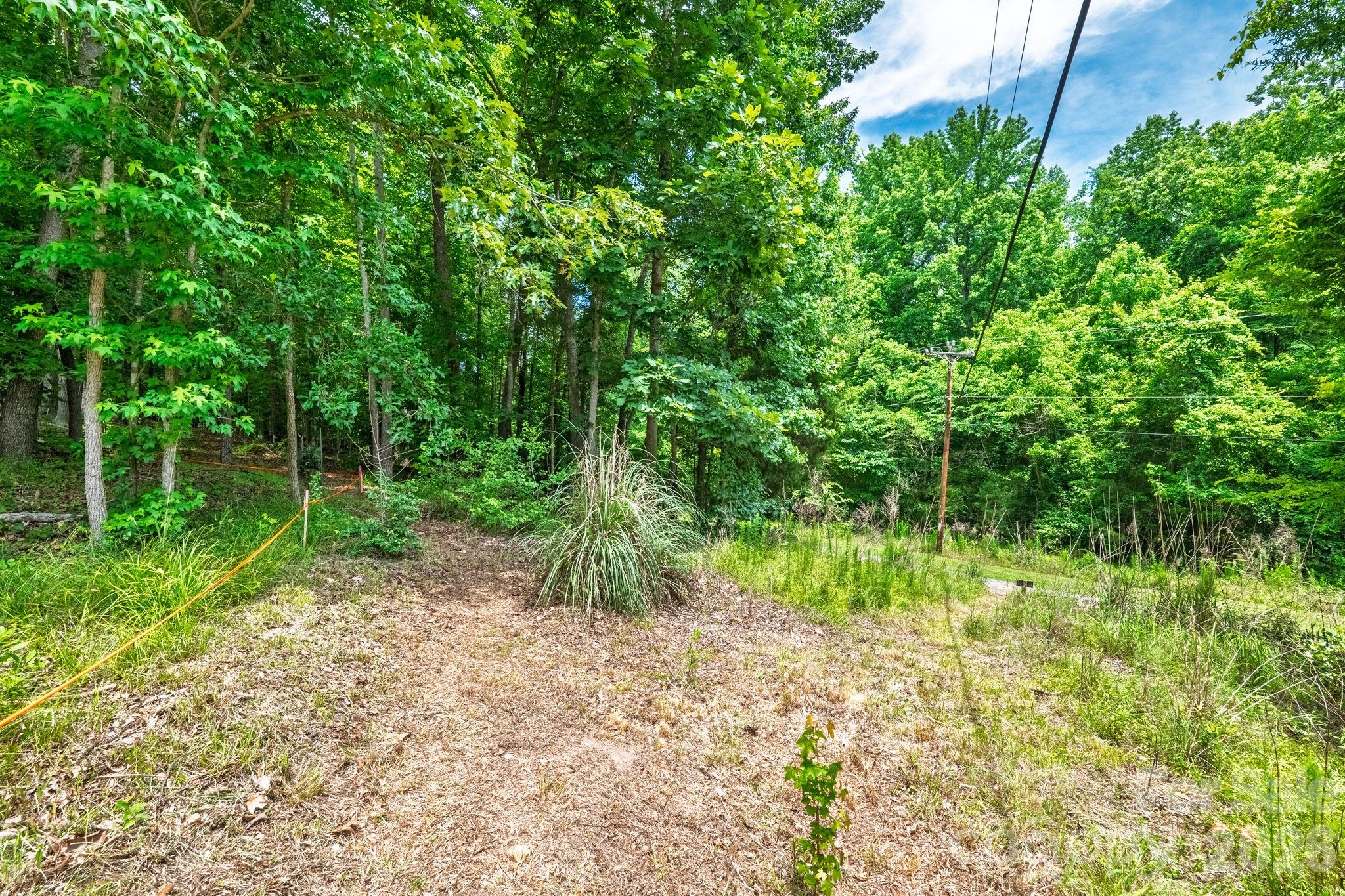 Lot at 229 Ballard Court, Fort Mill, photo 4 of 39