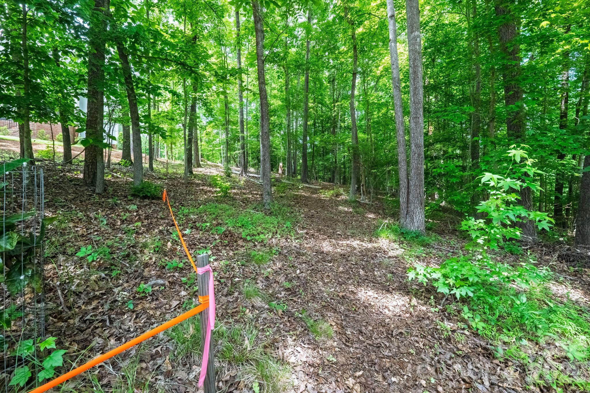 Lot at 229 Ballard Court, Fort Mill, photo 5 of 39