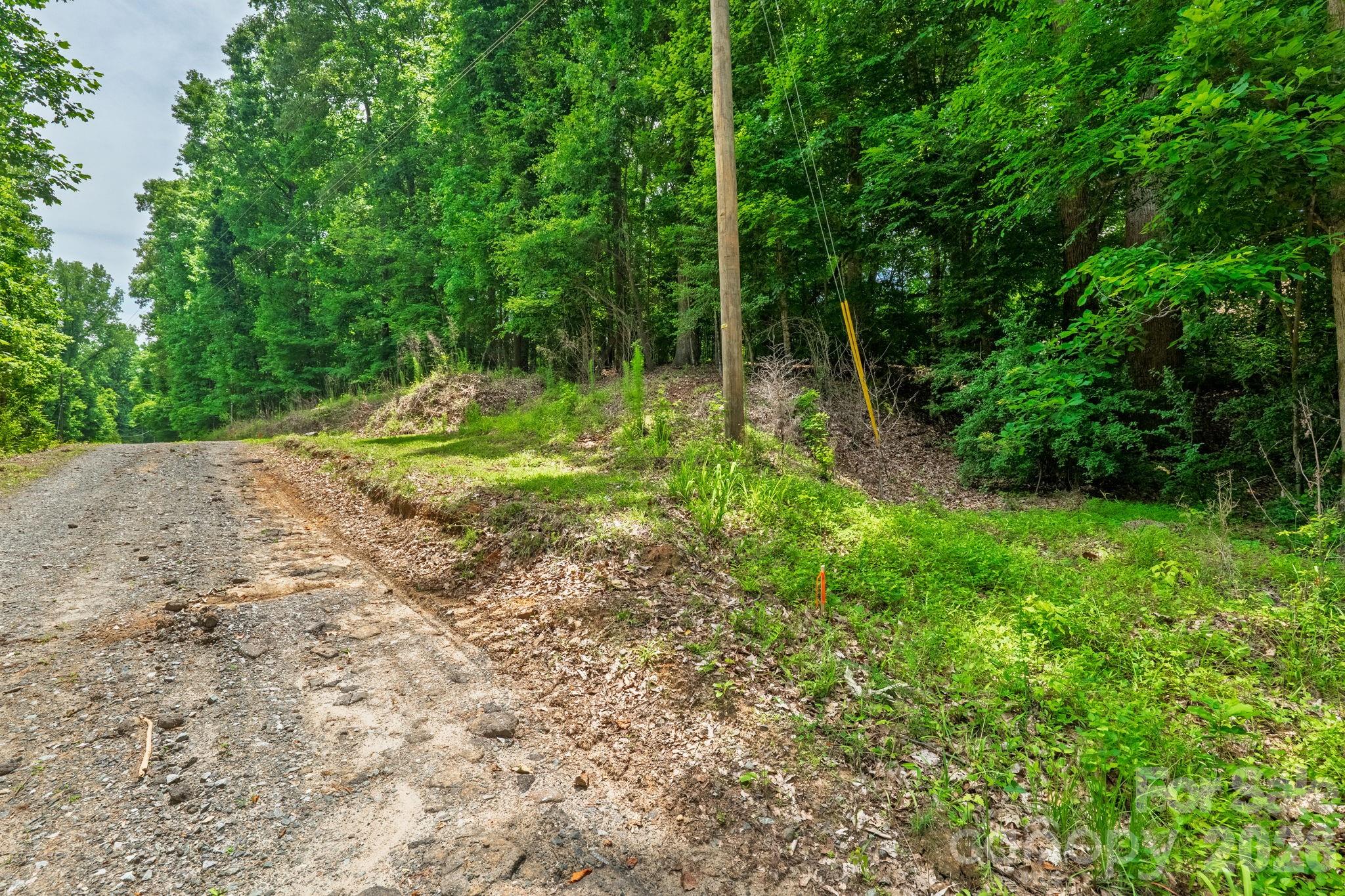 Lot at 229 Ballard Court, Fort Mill, photo 8 of 39