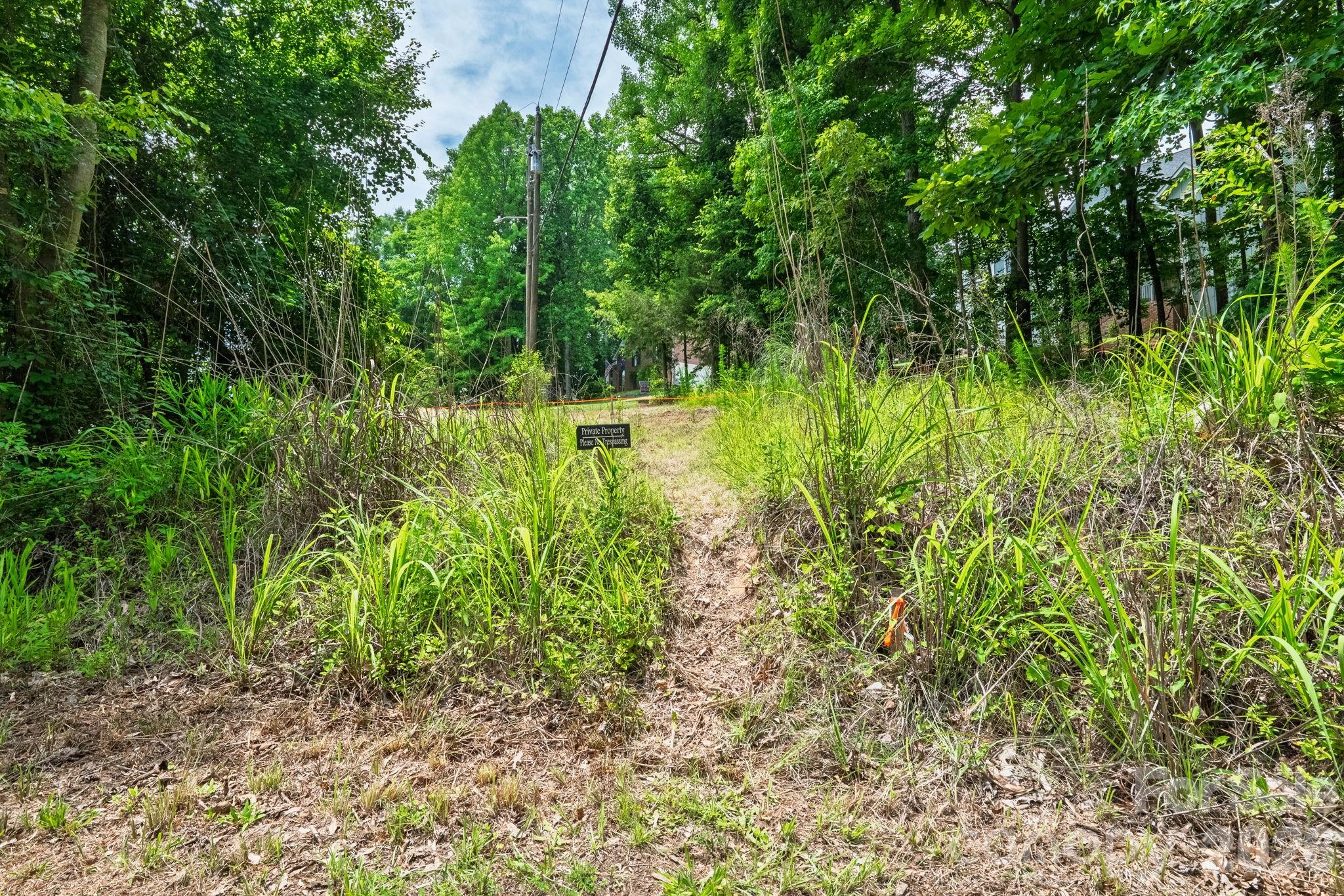 Lot at 229 Ballard Court, Fort Mill, photo 9 of 39