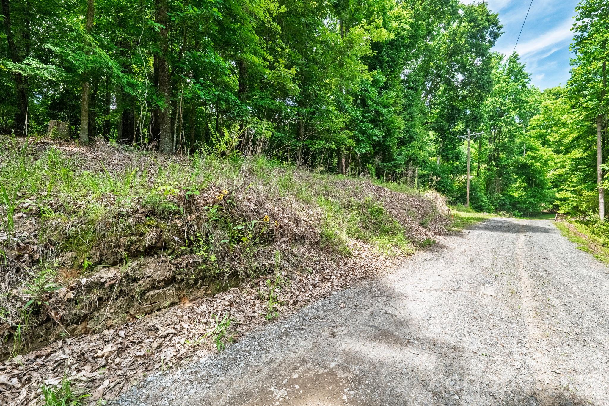 Lot at 229 Ballard Court, Fort Mill, photo 6 of 39