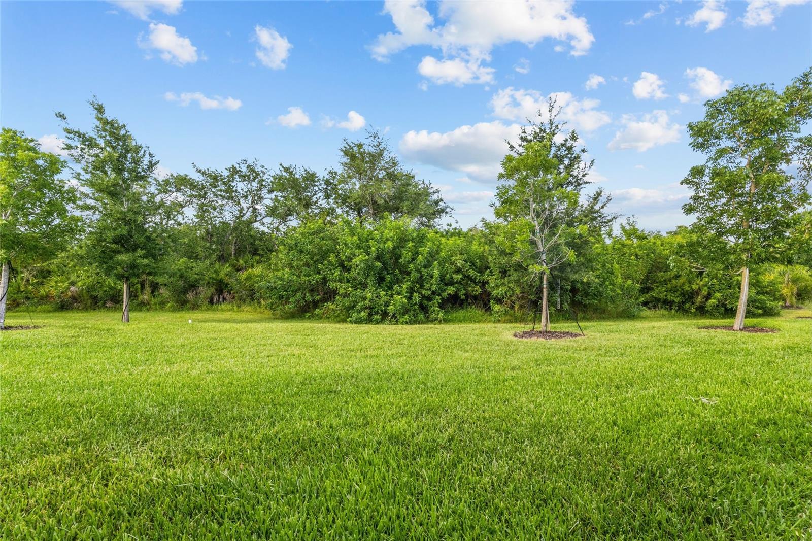 Design Your Backyard Oasis - 12458 SOMATIC CT, VENICE