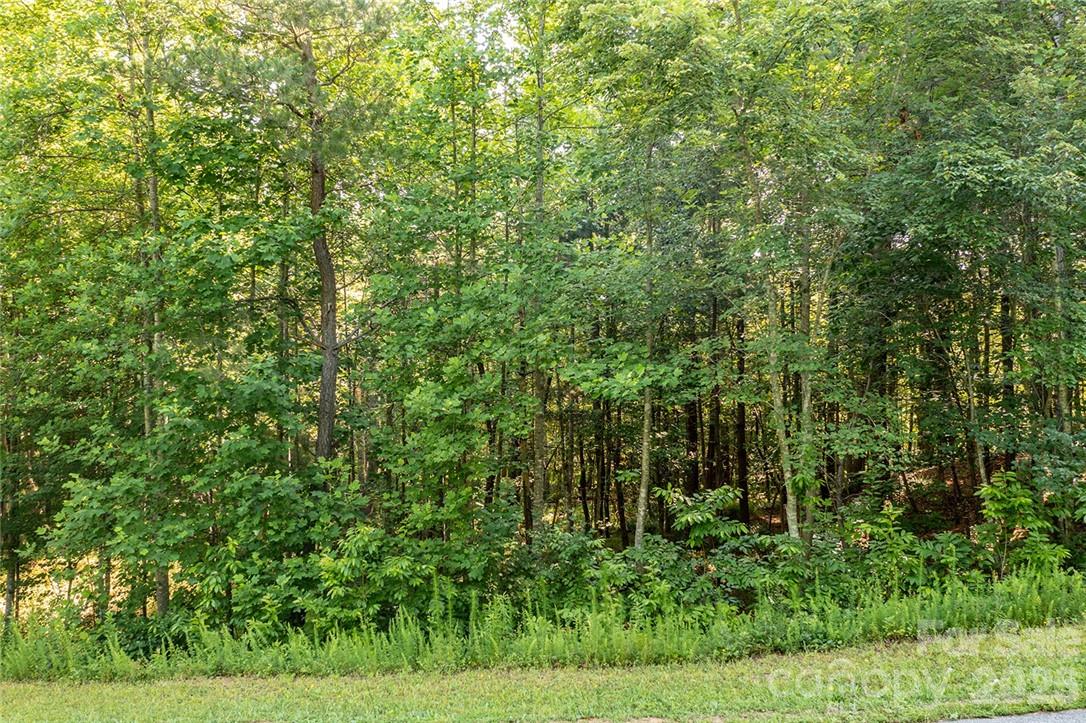 Lot at 4856 Rio De Luna Drive, Hickory, photo 11 of 35