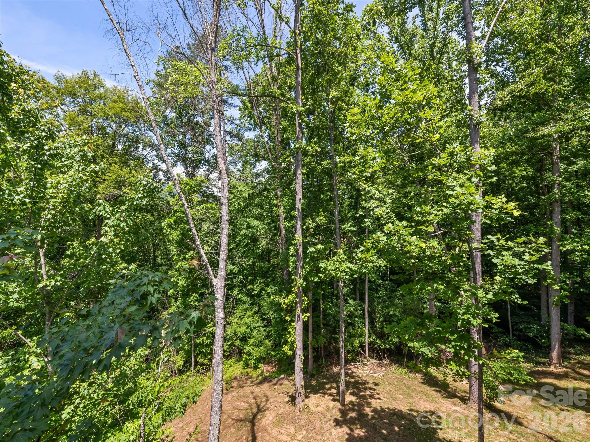 Single Family Residence at 288 Ironwood Drive, Clyde, photo 10 of 40