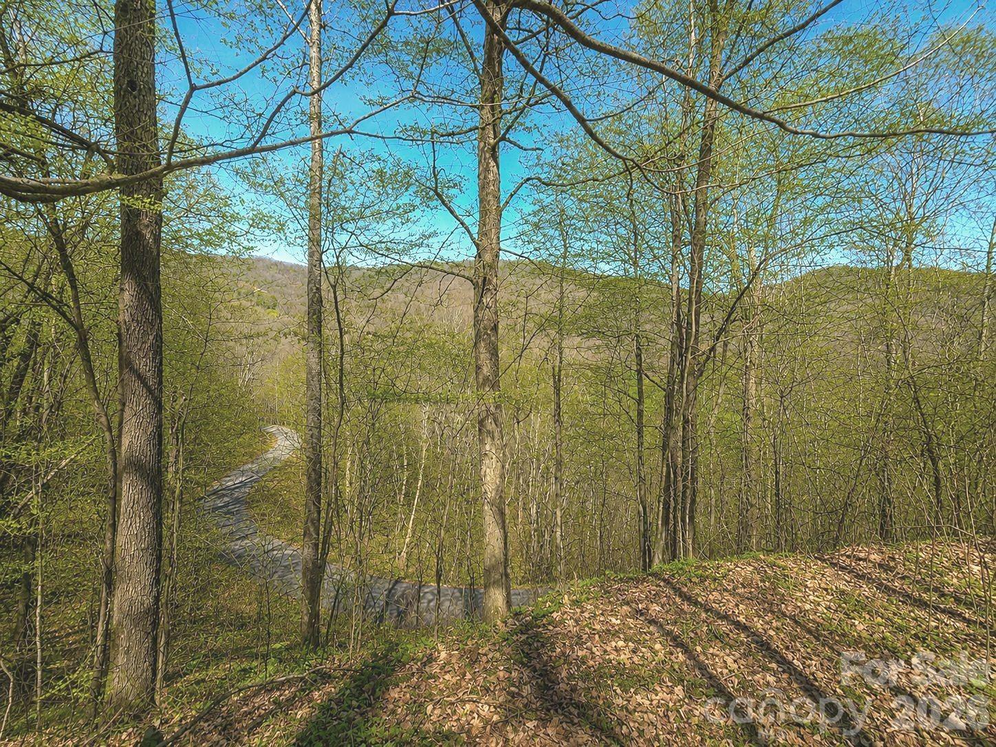 Lot at 1200 Chestnut Flats Lane, Waynesville, photo 2 of 21