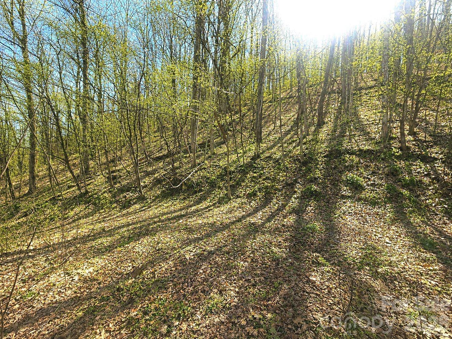 Lot at 1200 Chestnut Flats Lane, Waynesville, photo 4 of 21