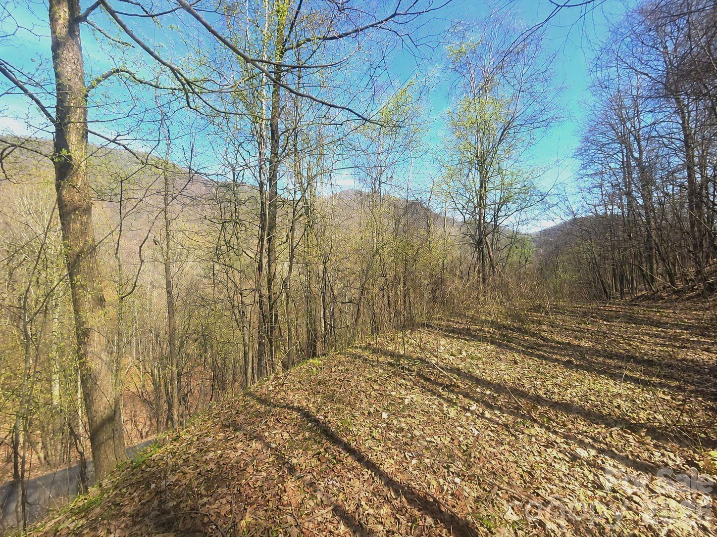 Lot at 1200 Chestnut Flats Lane, Waynesville, photo 3 of 21