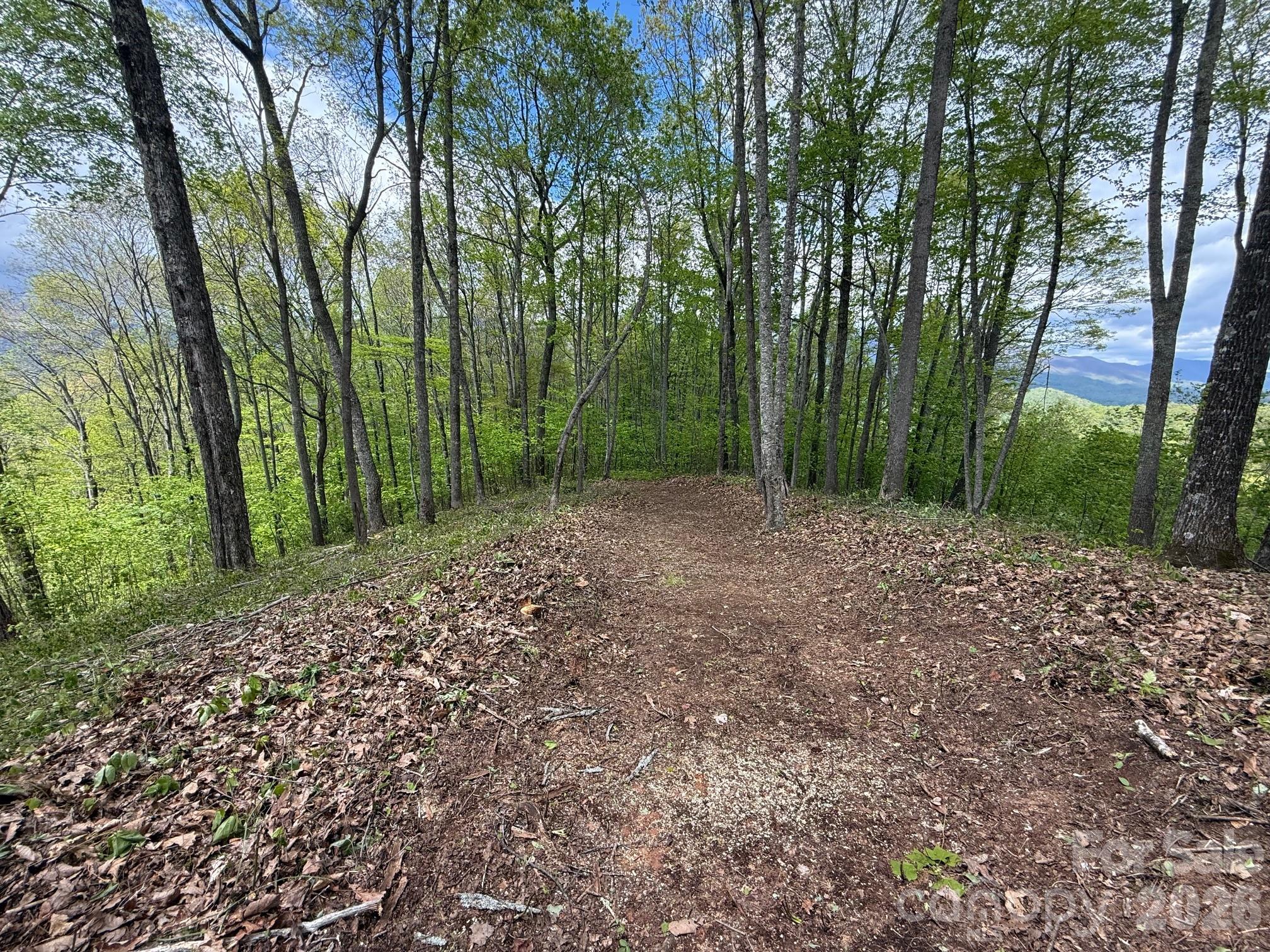 Lot at 1817 E Reach Road, Sylva, photo 2 of 3