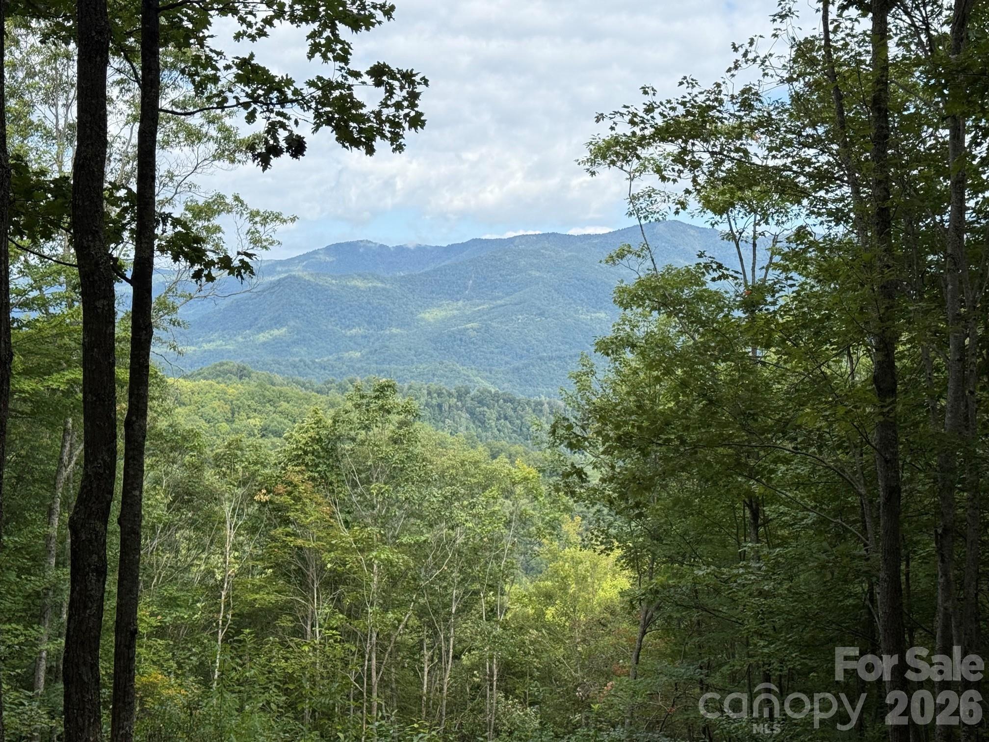Lot at LT 262 Tote Road, Sylva, photo 3 of 21