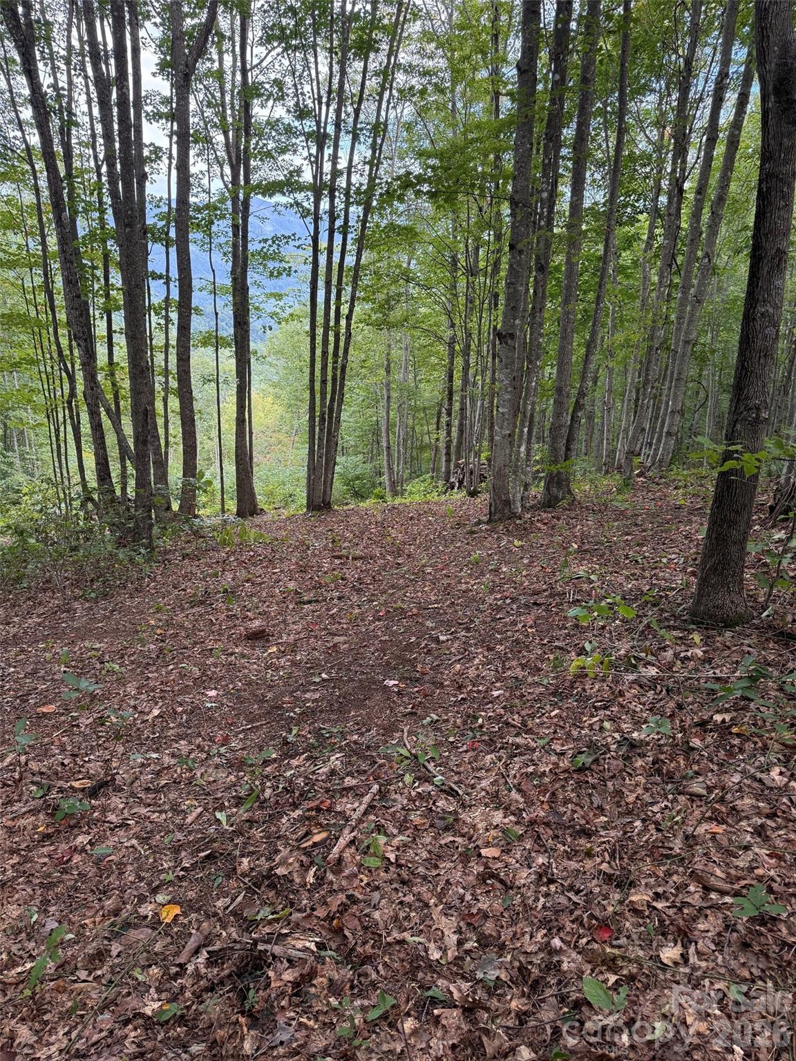 Lot at LT 262 Tote Road, Sylva, photo 5 of 21