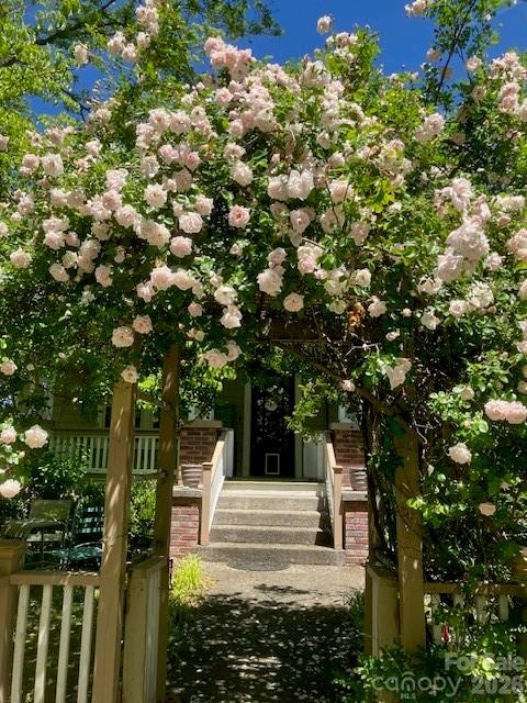 Spring roses at 333 Church st. - 33 Church Street, Weaverville