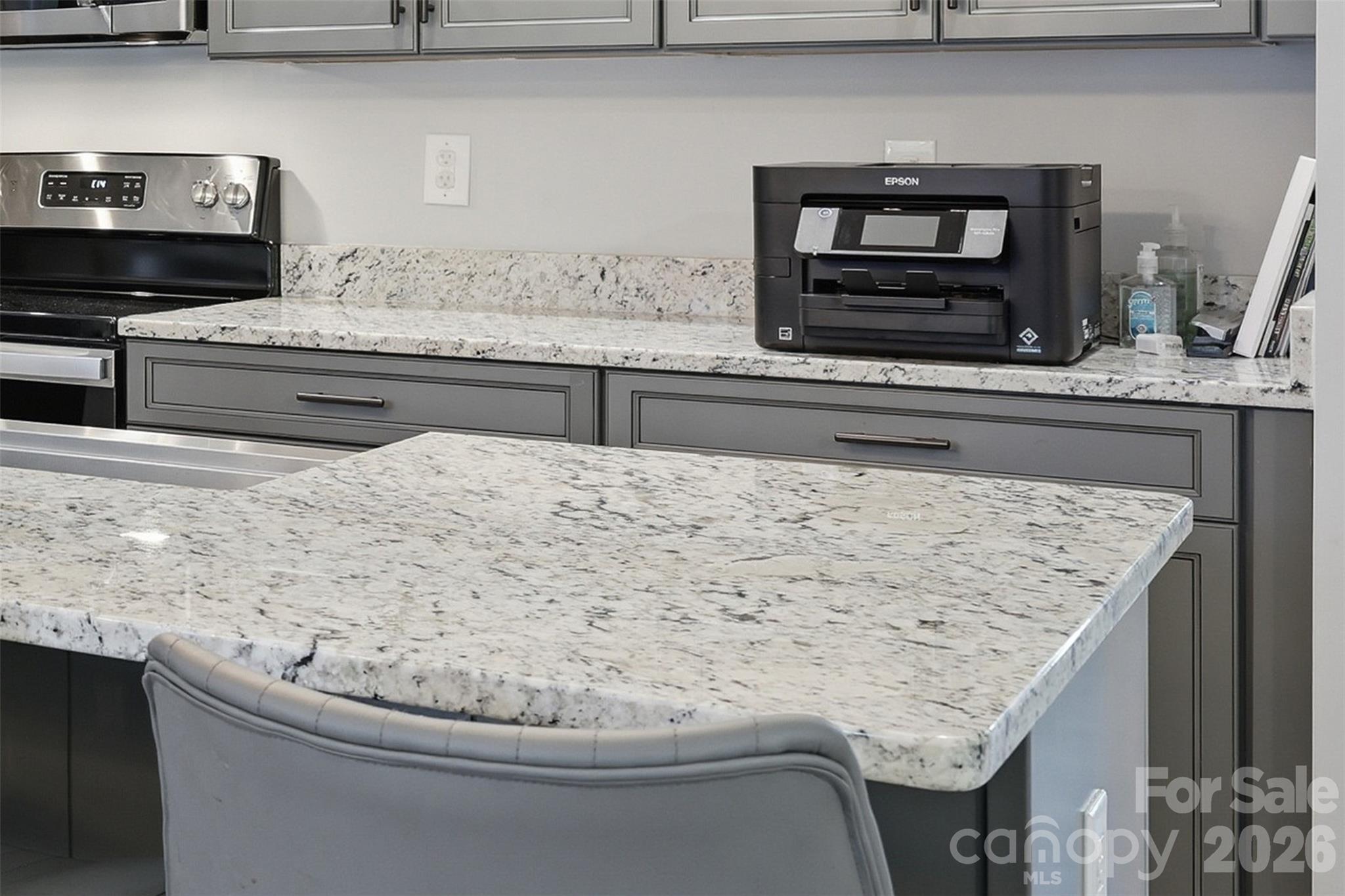 Exotic, level 4 granite kitchen countertops - 1298 Cole Avenue, Rock Hill