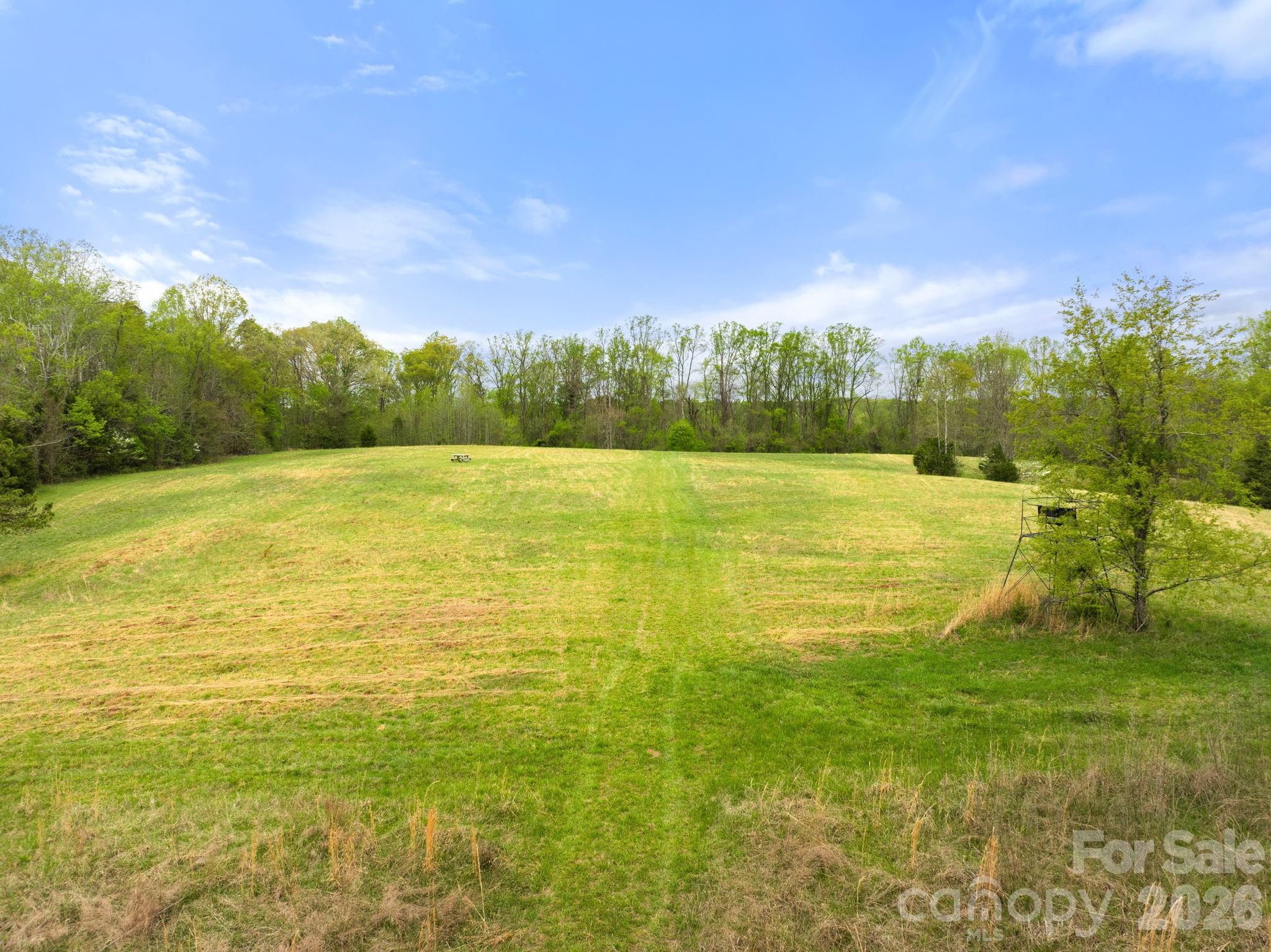 Acreage at 0 Dalton Road, Lewisville, photo 2 of 16