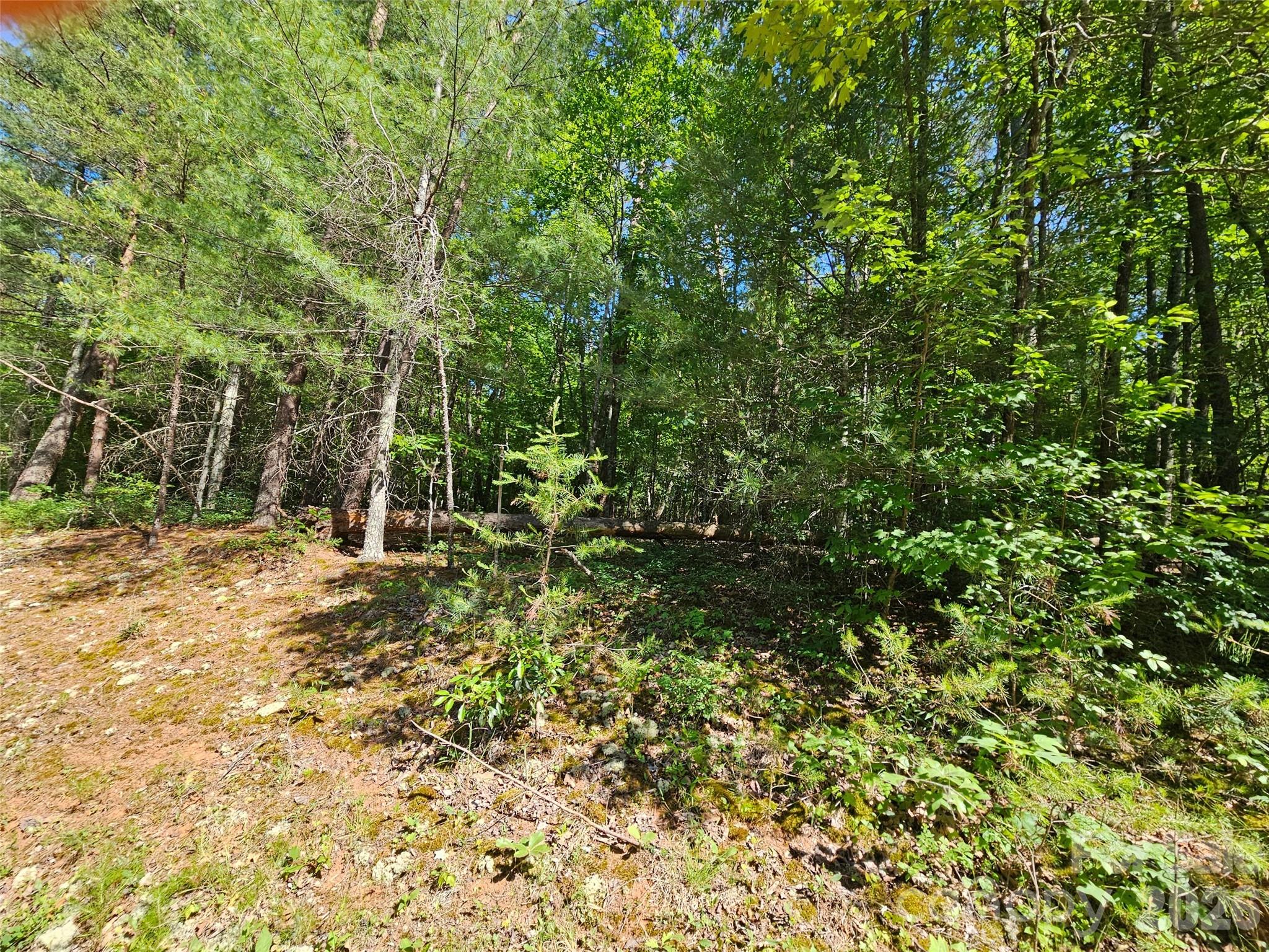 Lot at 136 Doves Way, Lake Lure, photo 6 of 10