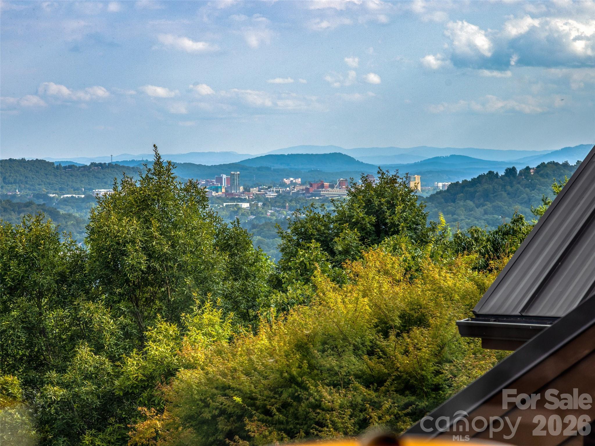 Single Family Residence at 10 Beaverbrook Court, Asheville, photo 4 of 48