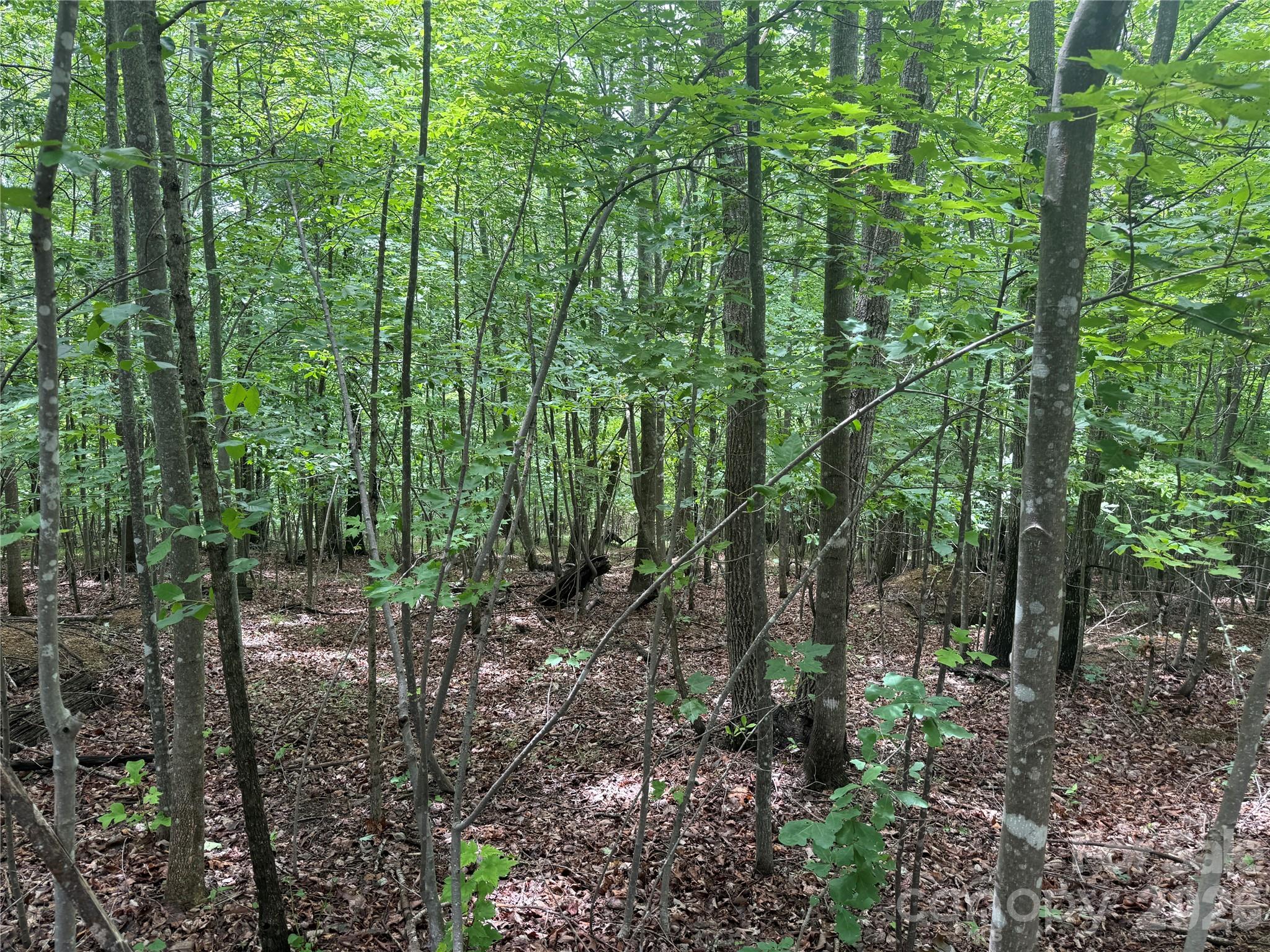 Lot at V/L Scenic Vista Drive, Nebo, photo 3 of 24