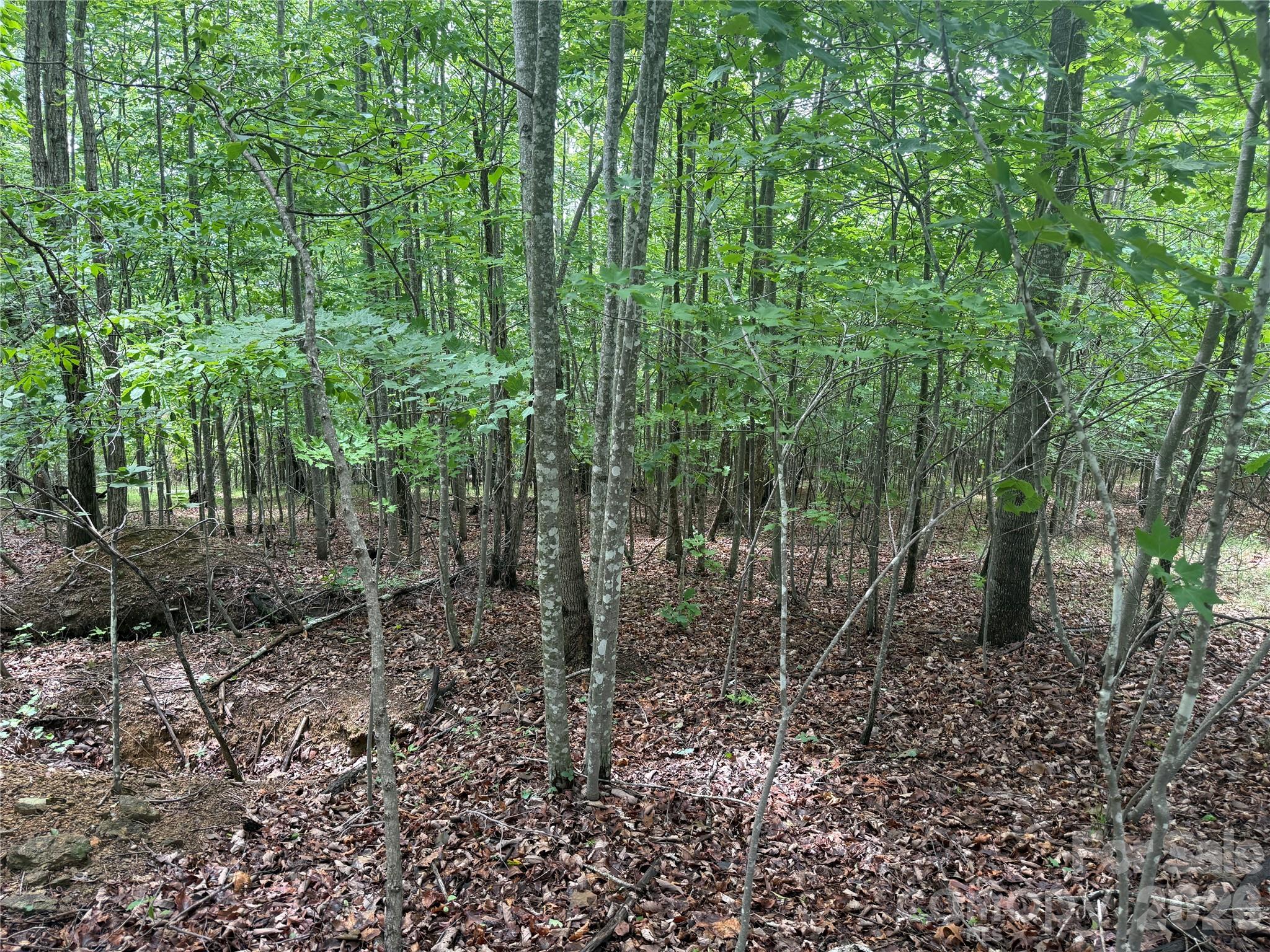 Lot at V/L Scenic Vista Drive, Nebo, photo 4 of 24