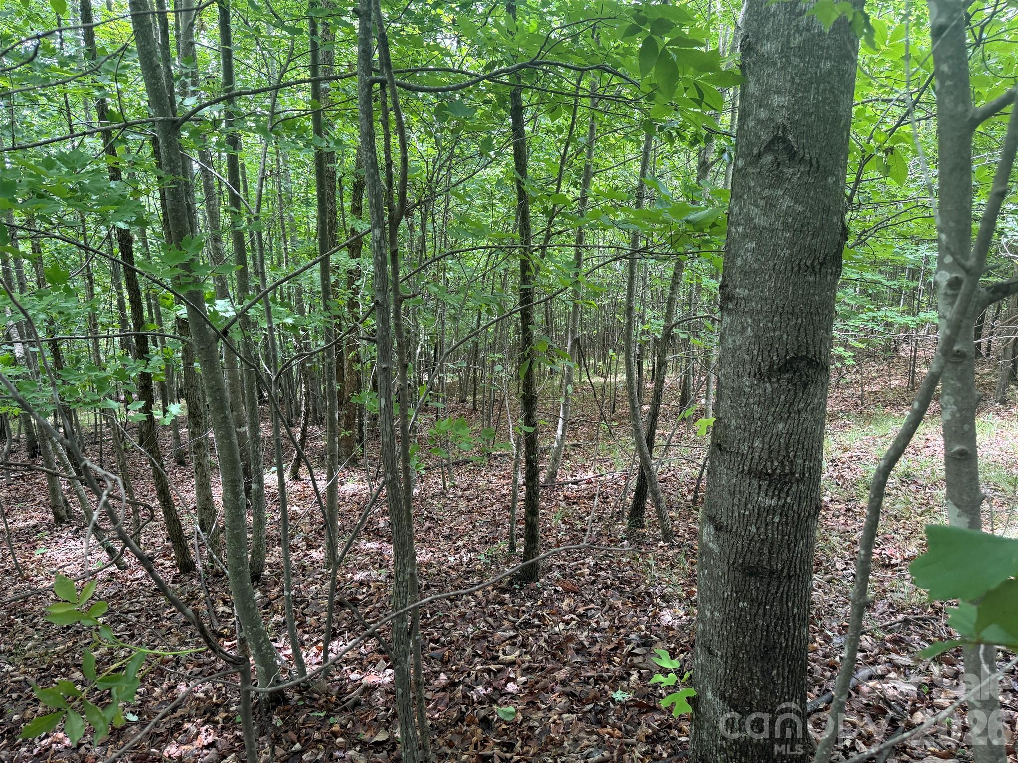 Lot at V/L Scenic Vista Drive, Nebo, photo 5 of 24