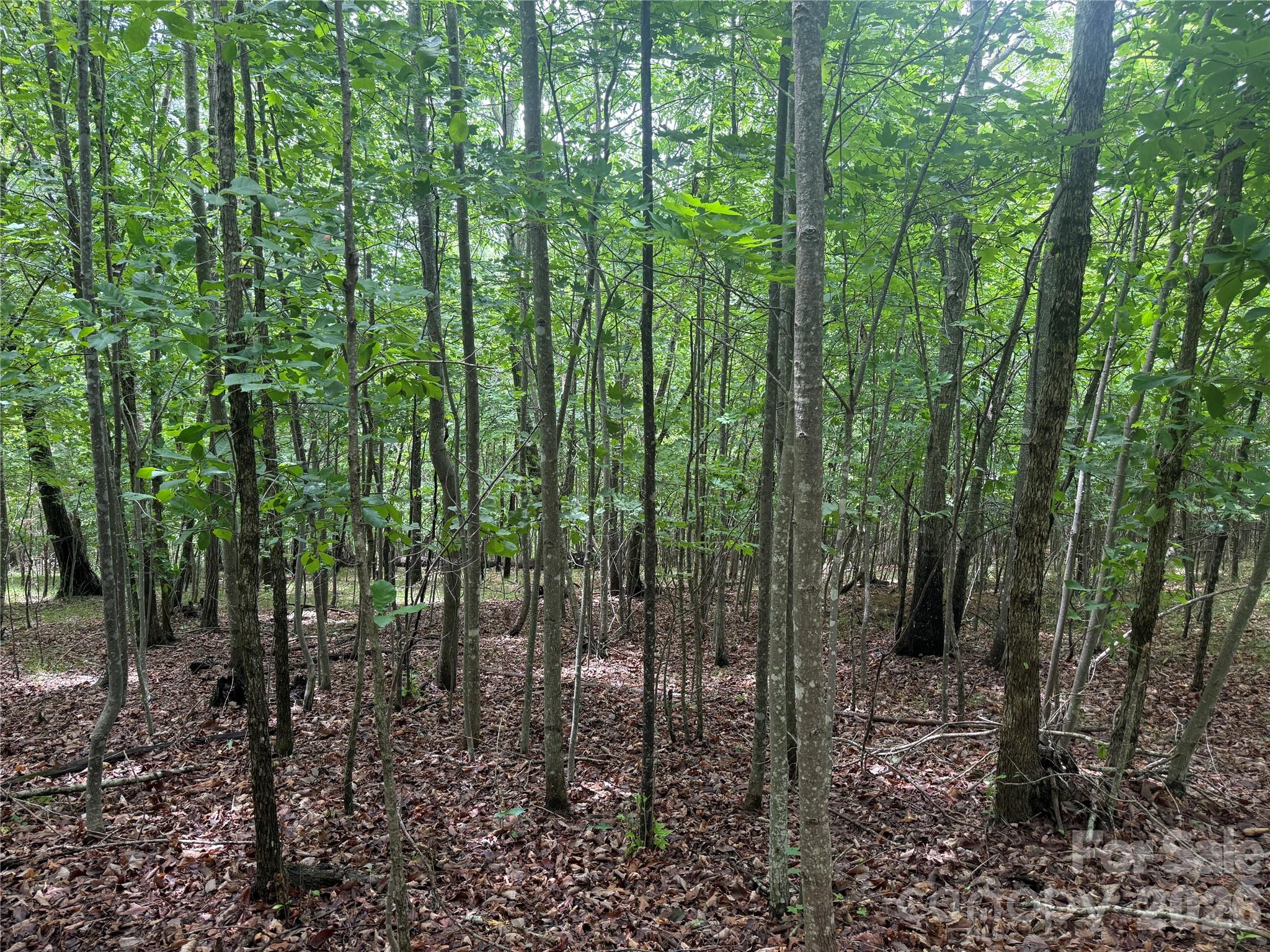 Lot at V/L Scenic Vista Drive, Nebo, photo 6 of 24