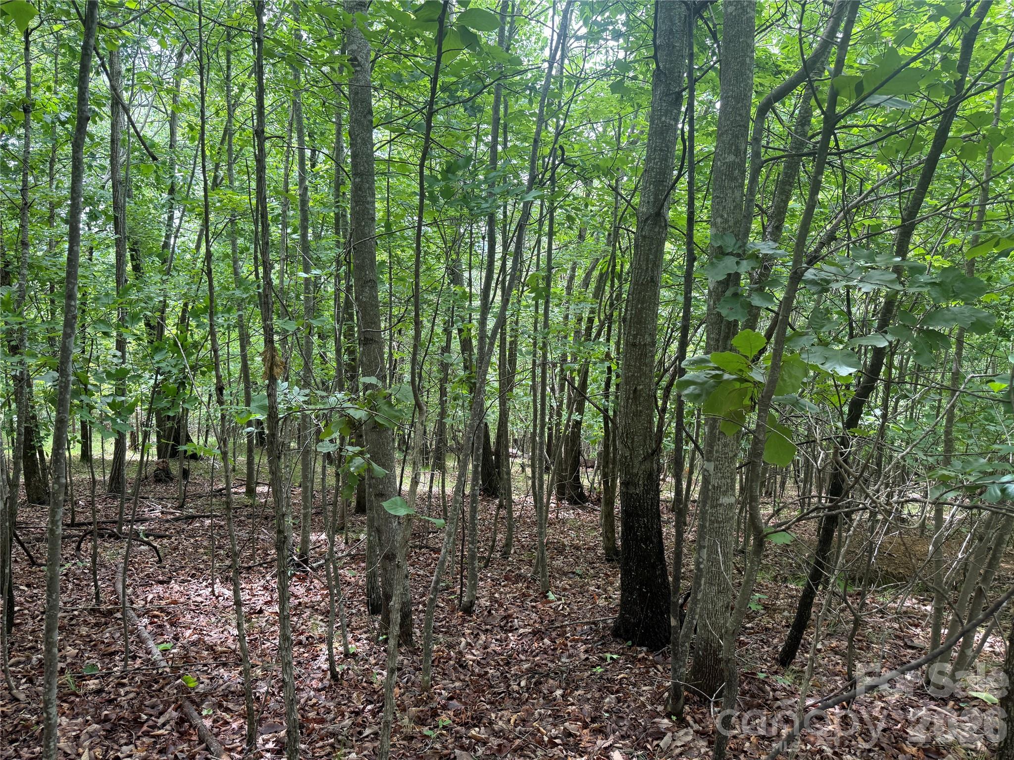 Lot at V/L Scenic Vista Drive, Nebo, photo 7 of 24