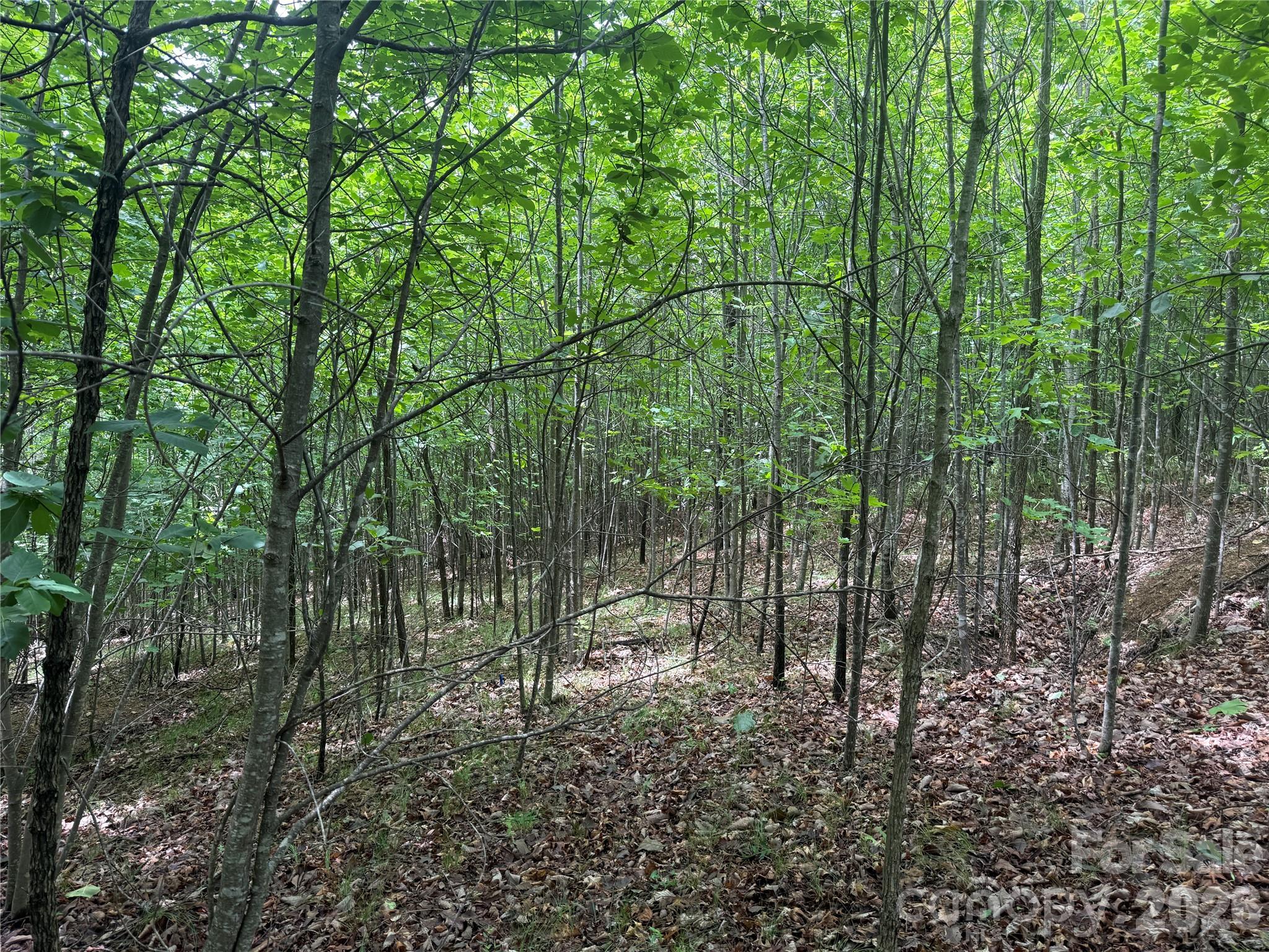 Lot at V/L Scenic Vista Drive, Nebo, photo 8 of 24