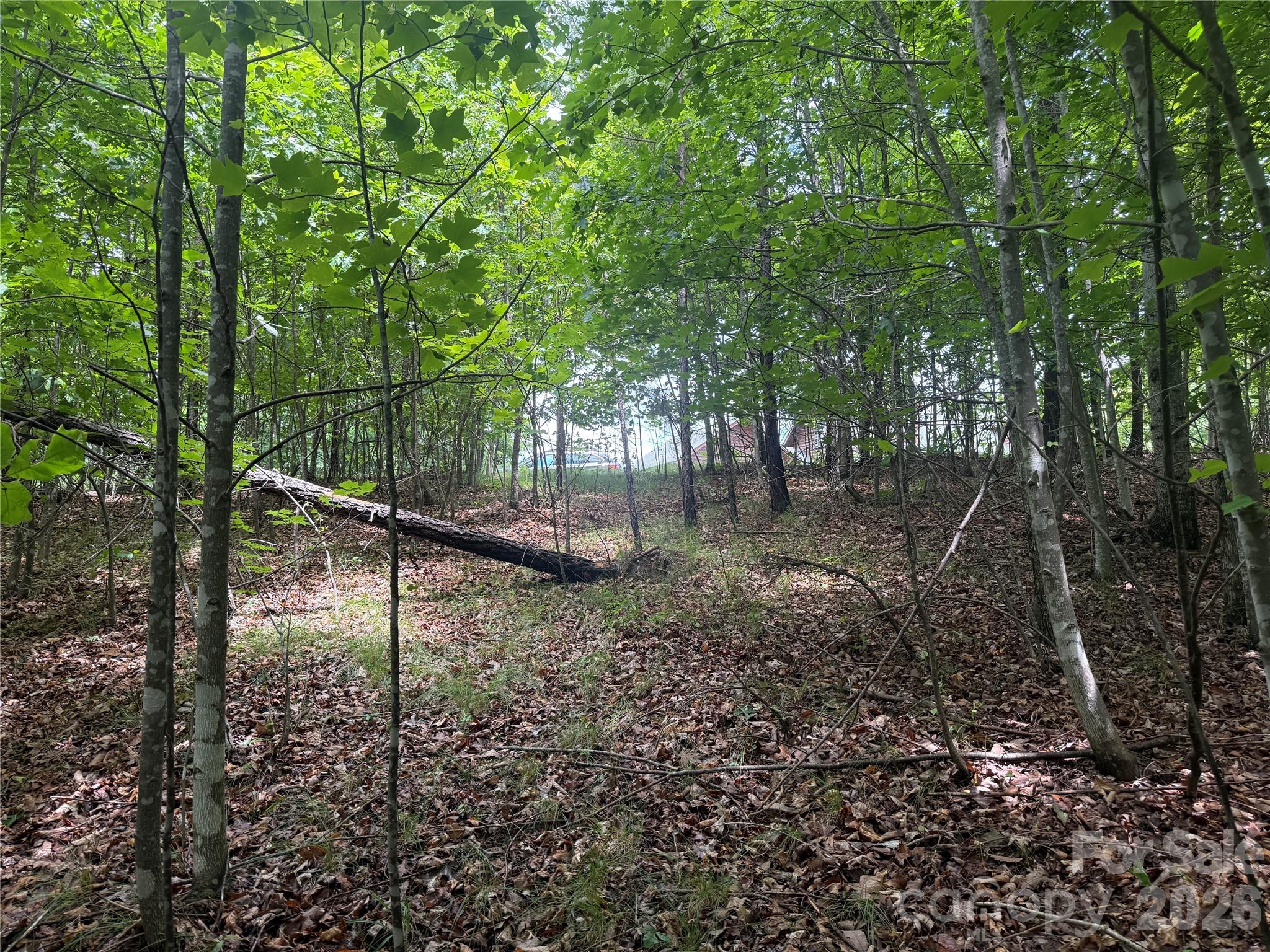 Lot at V/L Scenic Vista Drive, Nebo, photo 9 of 24