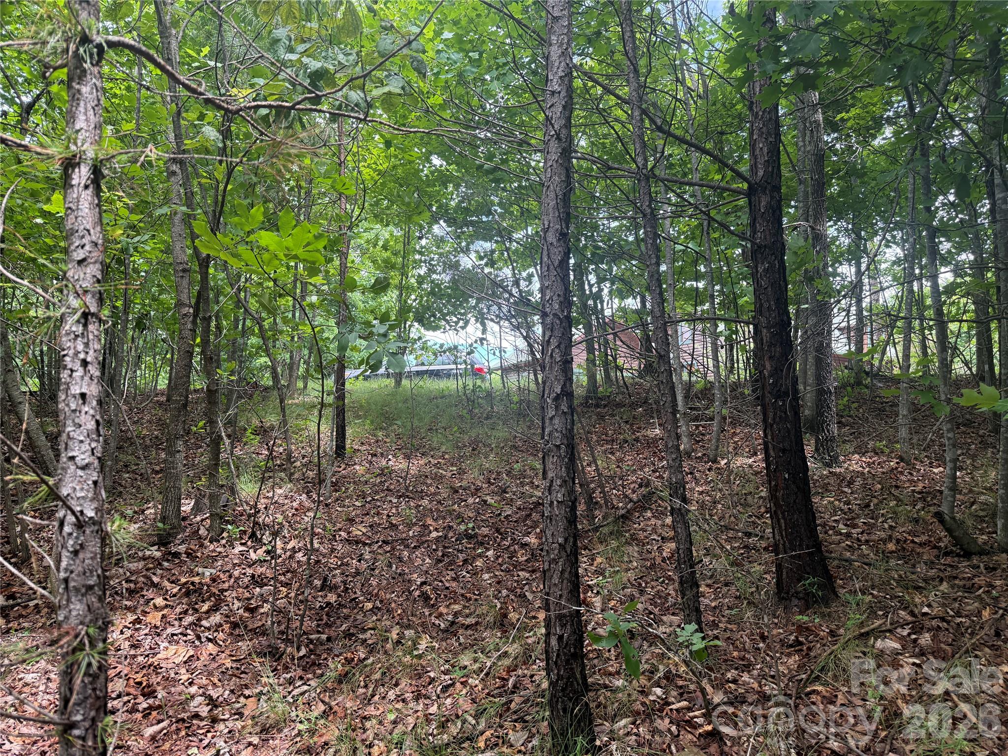 Lot at V/L Scenic Vista Drive, Nebo, photo 10 of 24