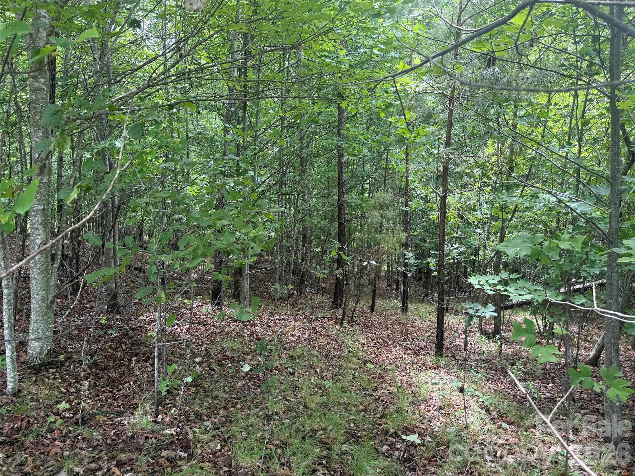 Lot at V/L Scenic Vista Drive, Nebo, photo 11 of 24