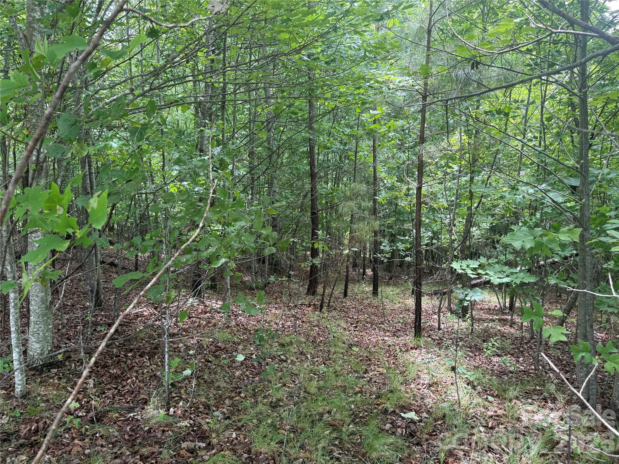 Lot at V/L Scenic Vista Drive, Nebo, photo 12 of 24
