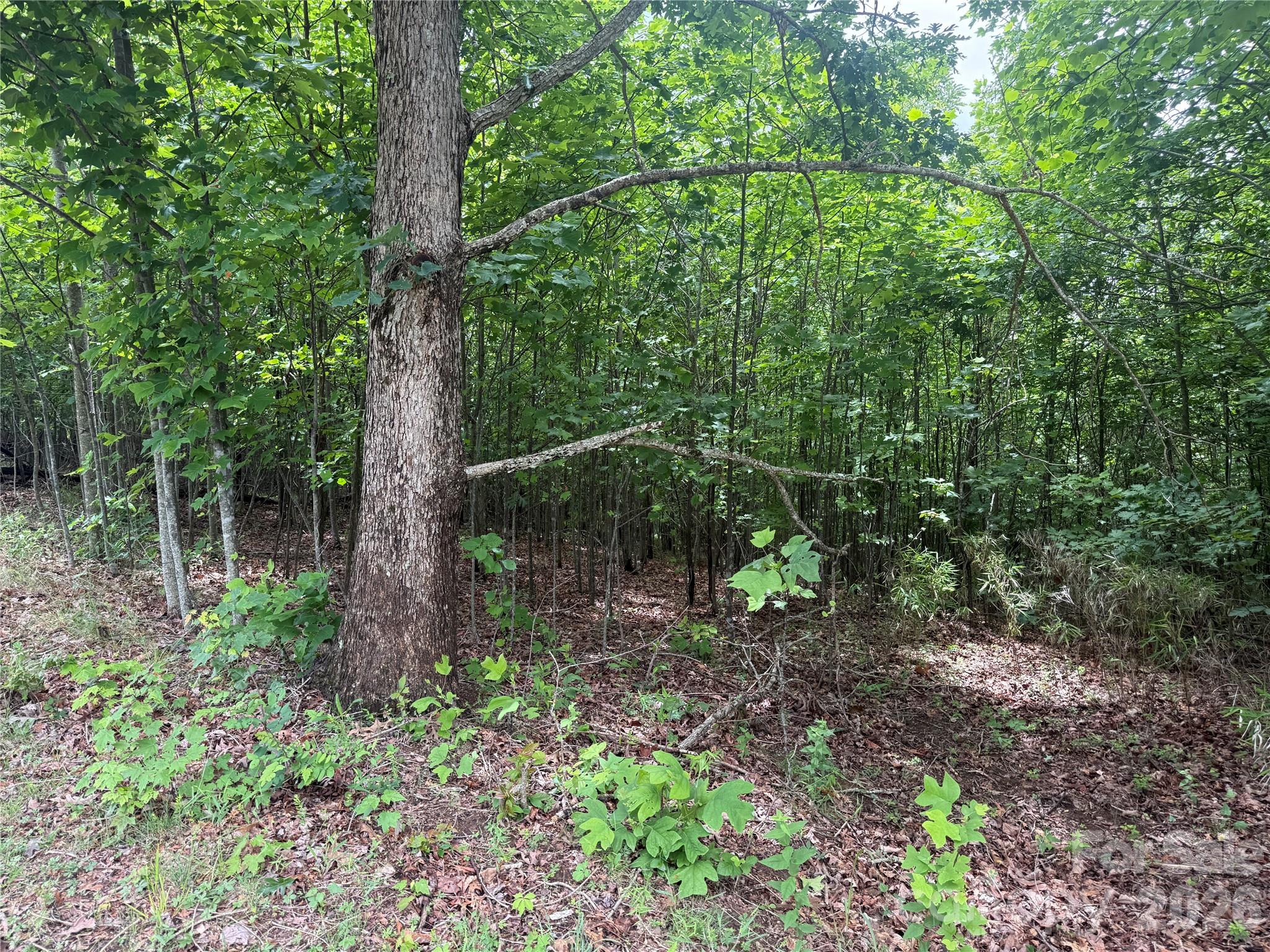 Lot at V/L Scenic Vista Drive, Nebo, photo 13 of 24