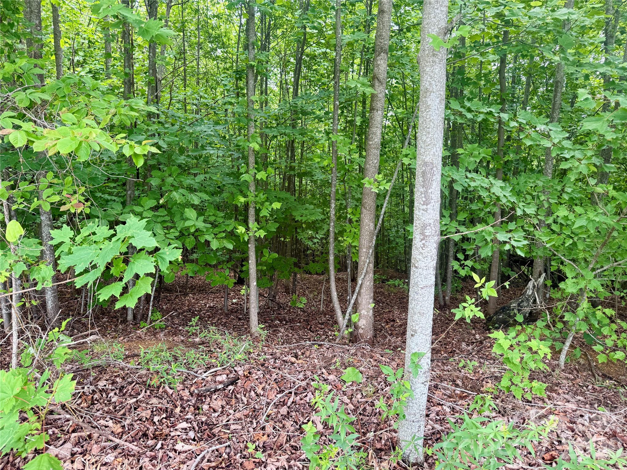 Lot at V/L Scenic Vista Drive, Nebo, photo 3 of 23