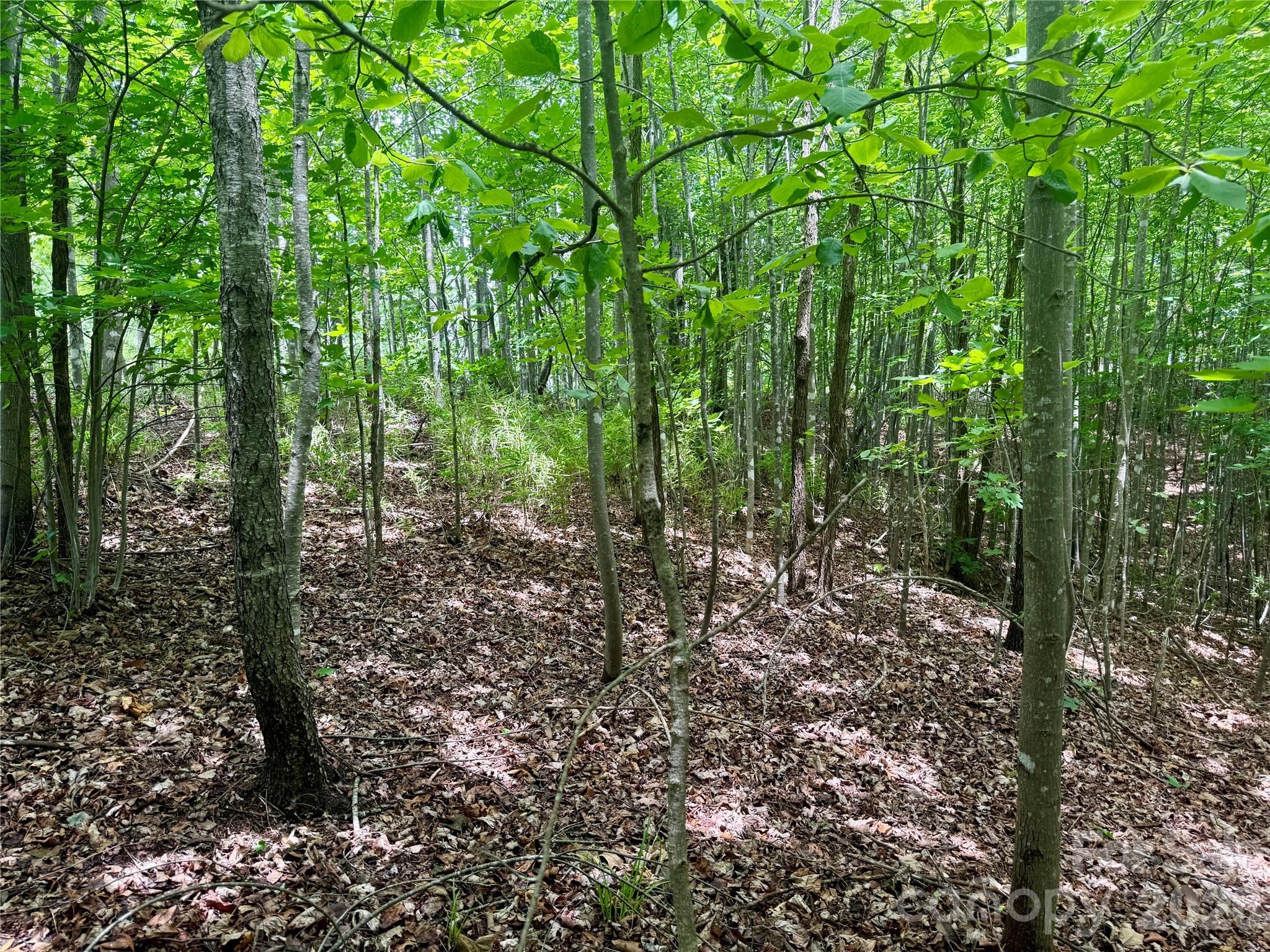 Lot at V/L Scenic Vista Drive, Nebo, photo 6 of 23