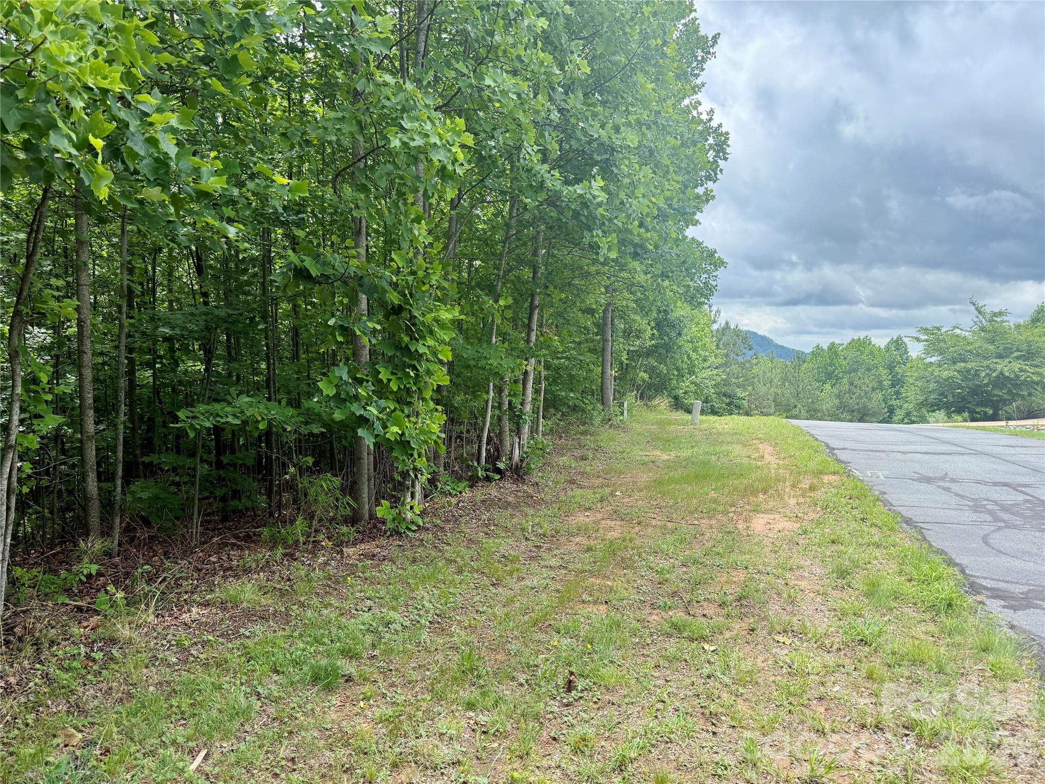 Lot at V/L Scenic Vista Drive, Nebo, photo 12 of 23