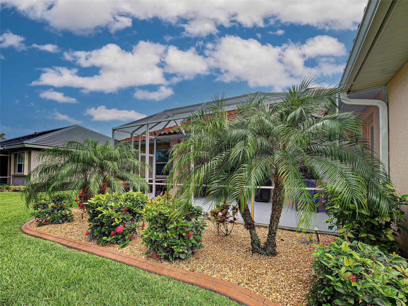 Beautifully Landscaped Backyard - 5017 BELLA TERRA DR, VENICE