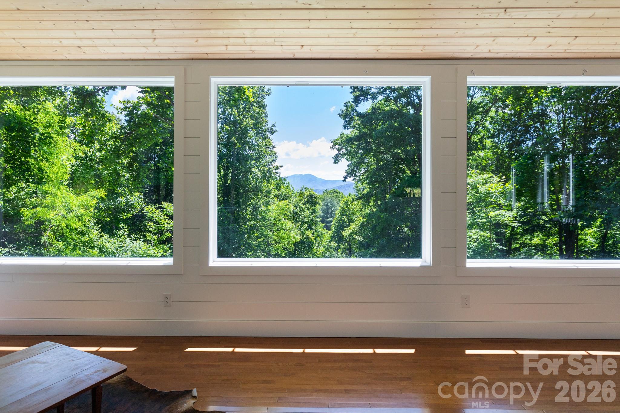 Mountain View from Living Area - 1621 Upward Way, Waynesville