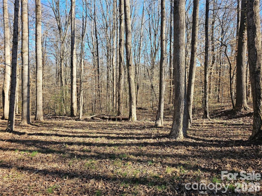 Acreage at 605 Shiloh Road, Statesville, photo 12 of 19