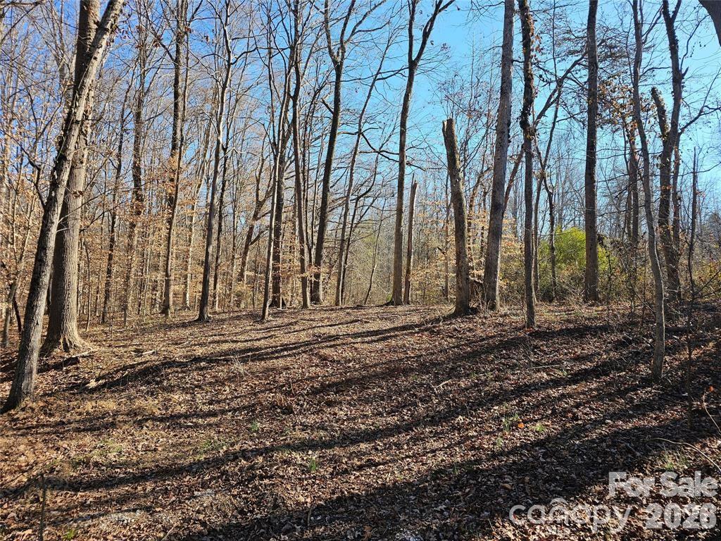 Acreage at 605 Shiloh Road, Statesville, photo 16 of 19