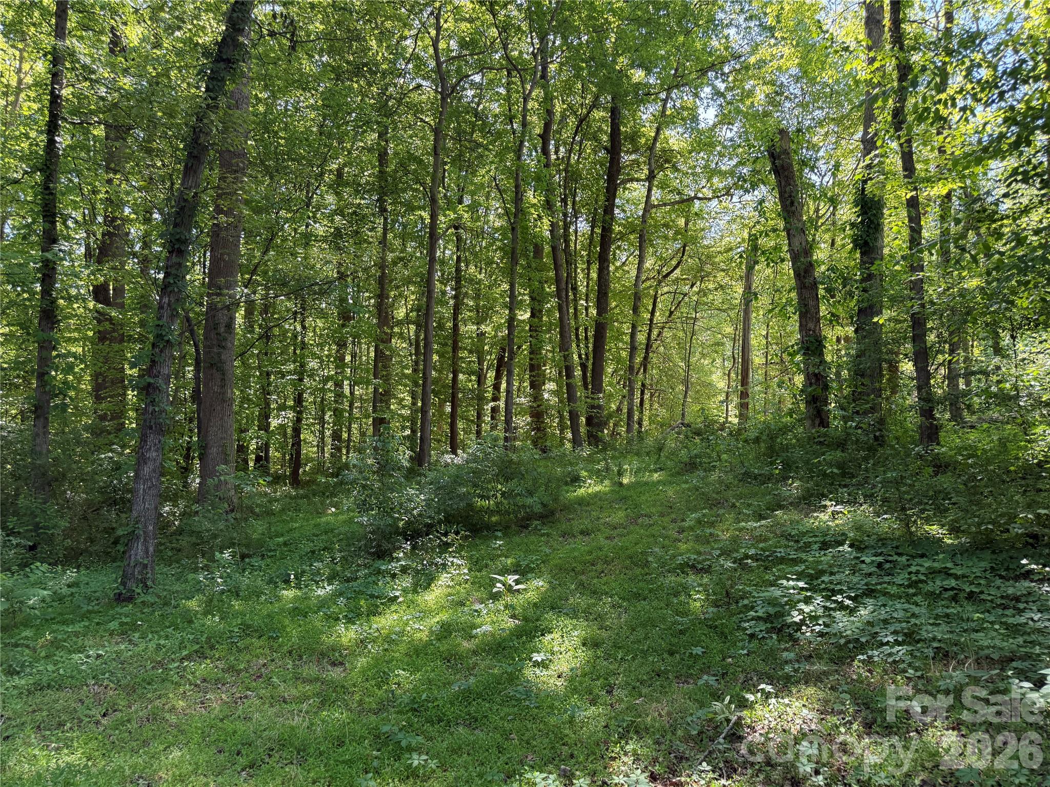 Acreage at 605 Shiloh Road, Statesville, photo 2 of 19