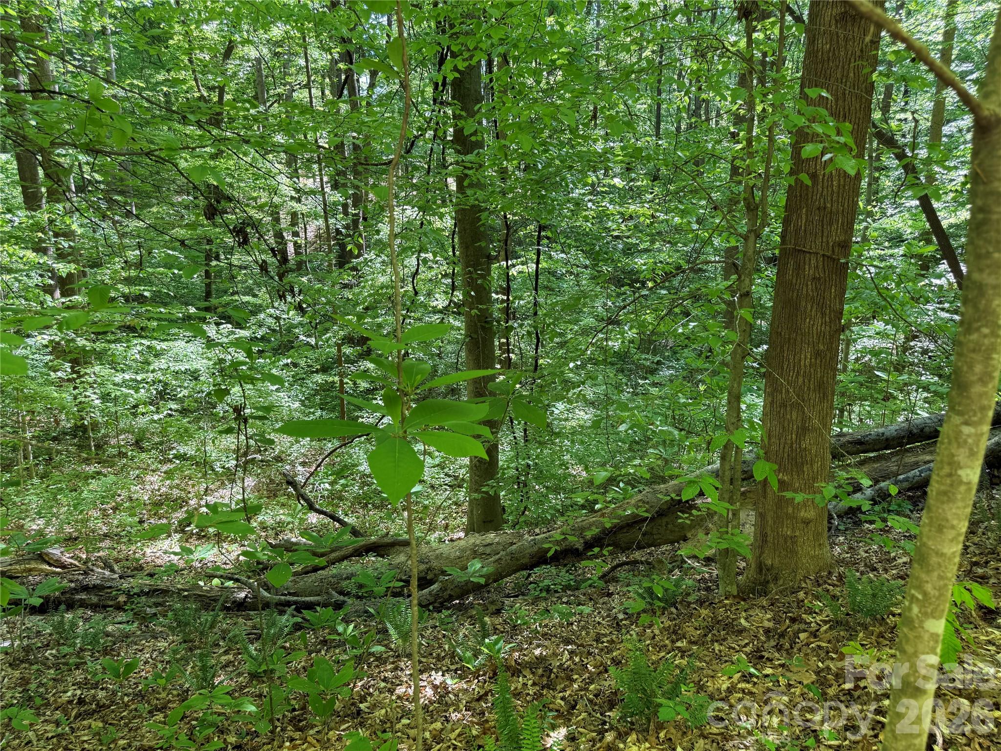 Acreage at 605 Shiloh Road, Statesville, photo 3 of 19