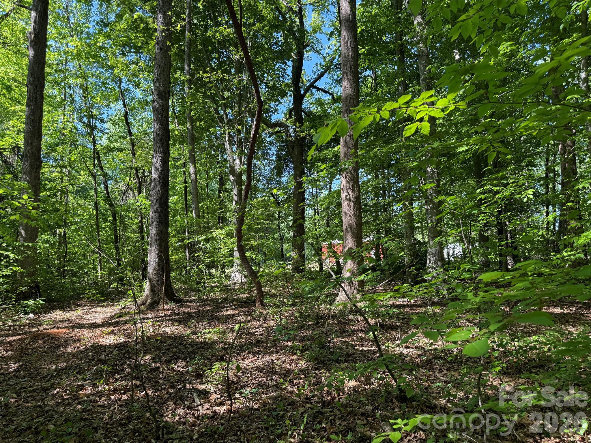Acreage at 605 Shiloh Road, Statesville, photo 5 of 19