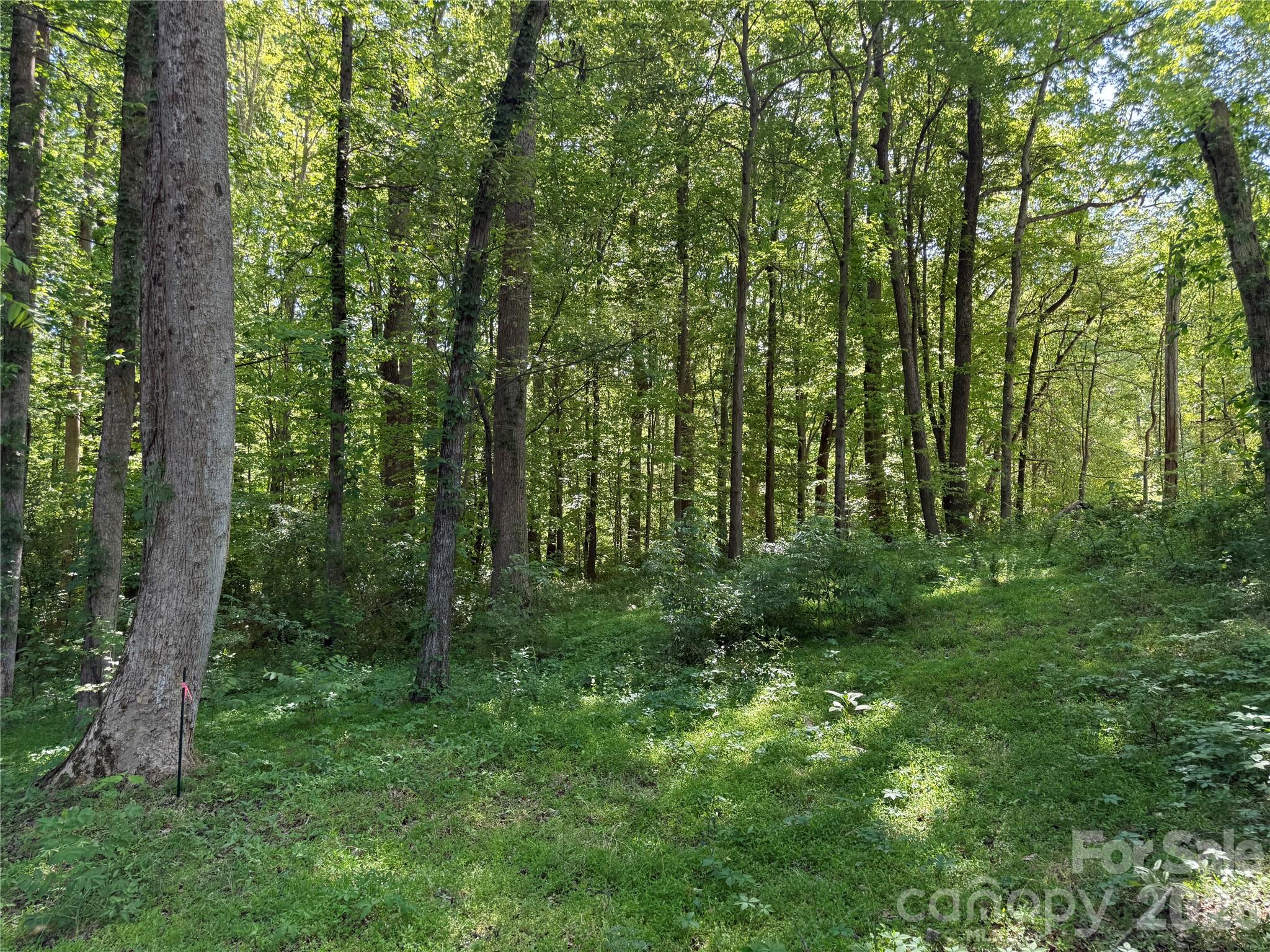 Acreage at 605 Shiloh Road, Statesville, photo 7 of 19