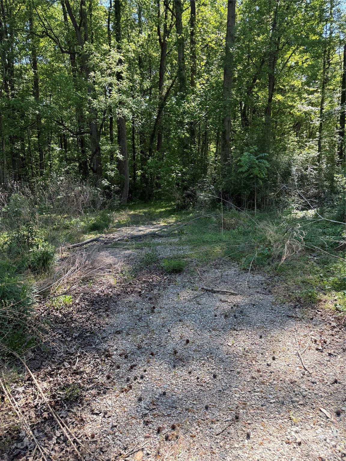 Acreage at 605 Shiloh Road, Statesville, photo 9 of 19