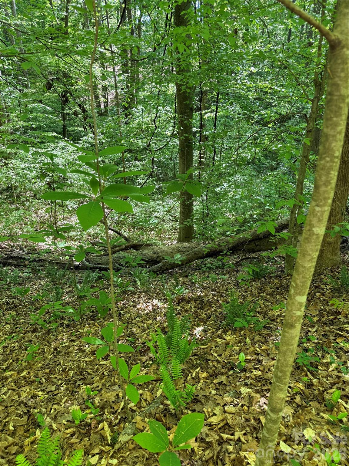 Acreage at 605 Shiloh Road, Statesville, photo 10 of 19