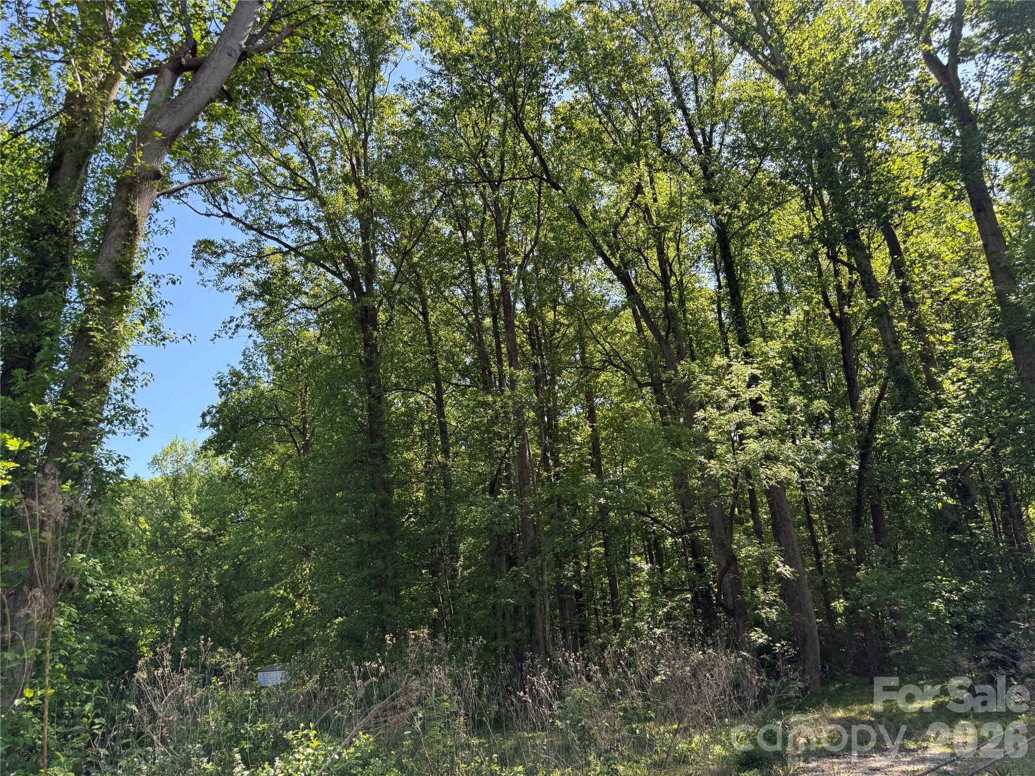 Acreage at 605 Shiloh Road, Statesville, photo 11 of 19